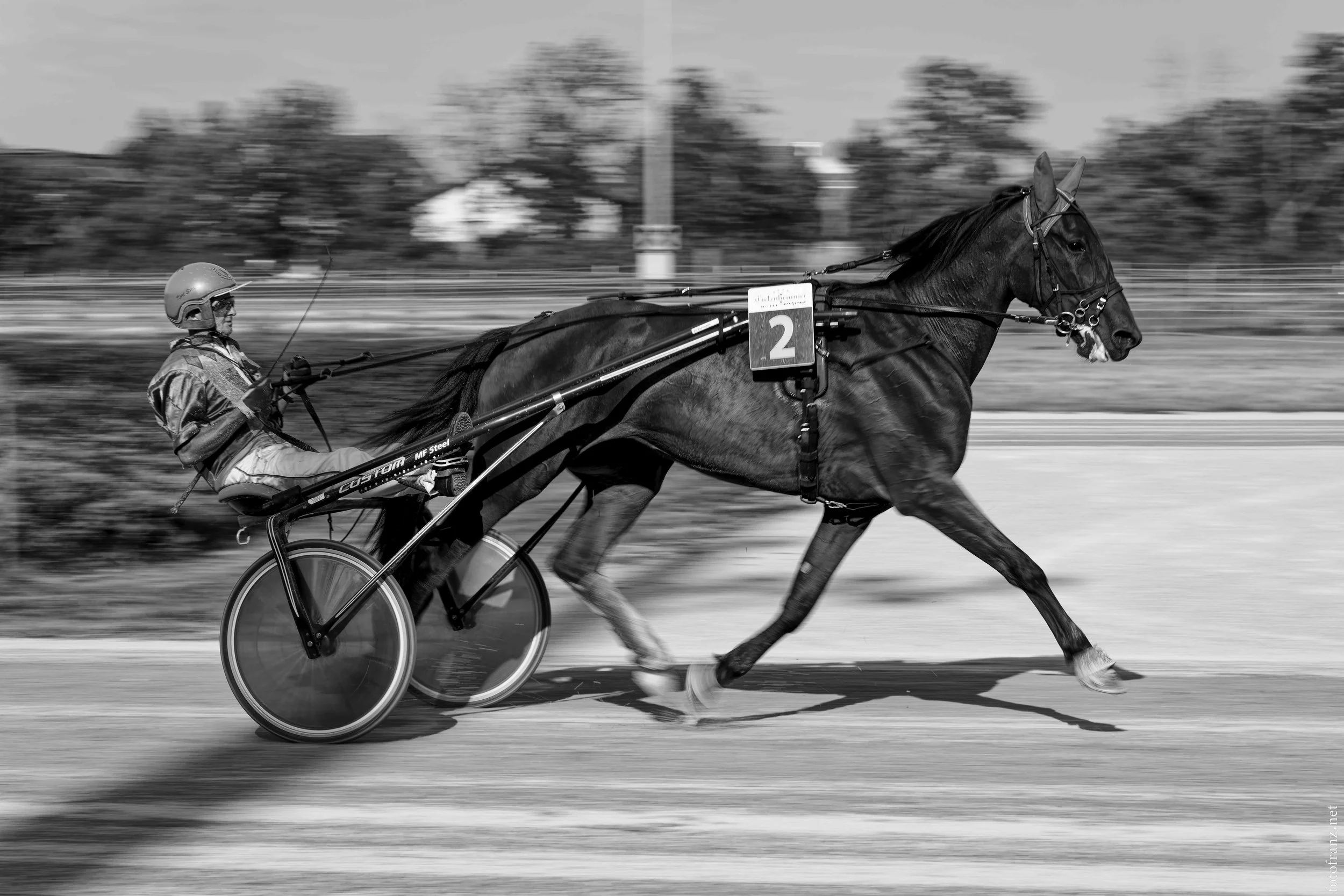 Ein schwarzer Pferd zieht ein Sulky mit einem Fahrer, der einen Helm trägt, bei einem Pferderennen.