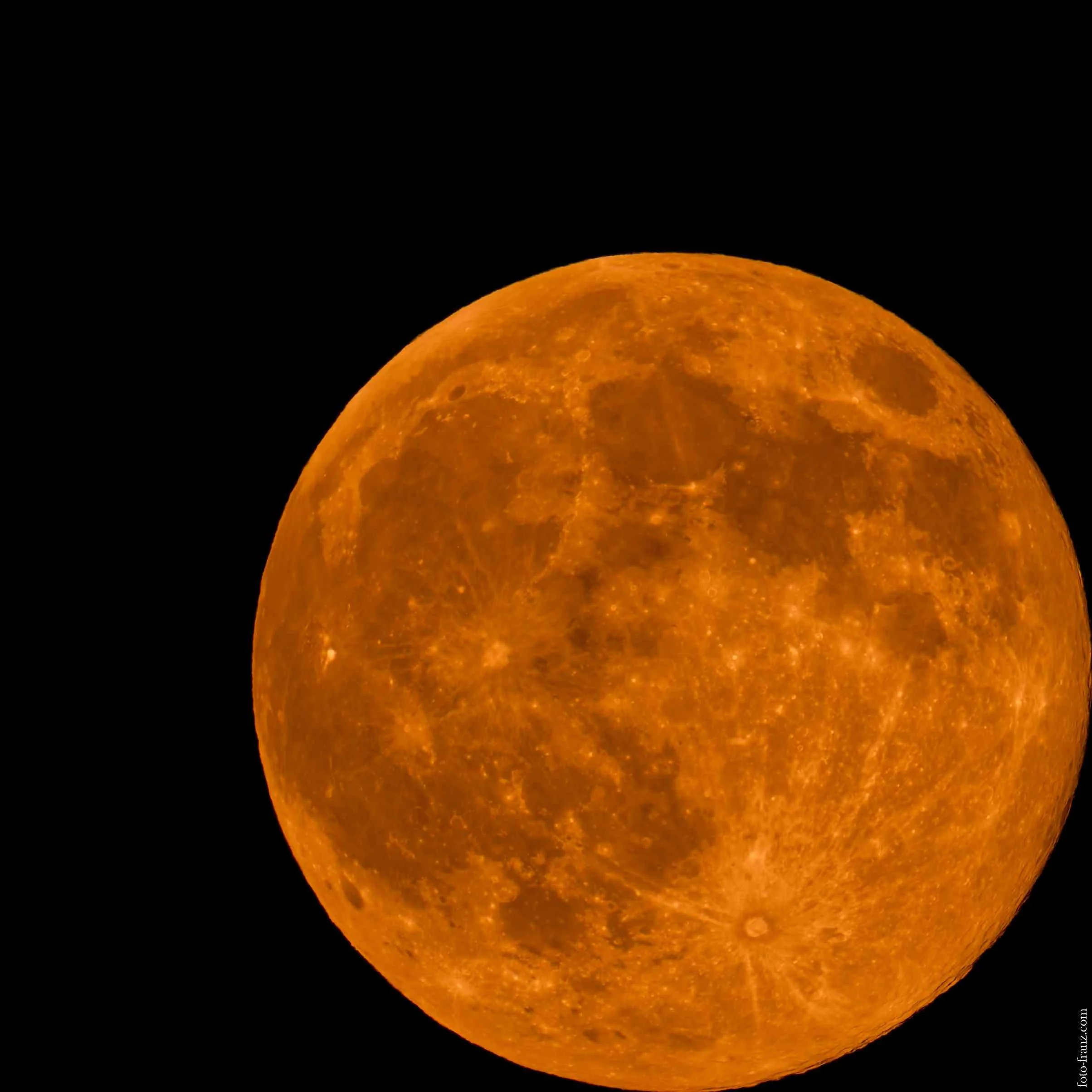 Ein orangefarbener Vollmond vor schwarzem Himmel.