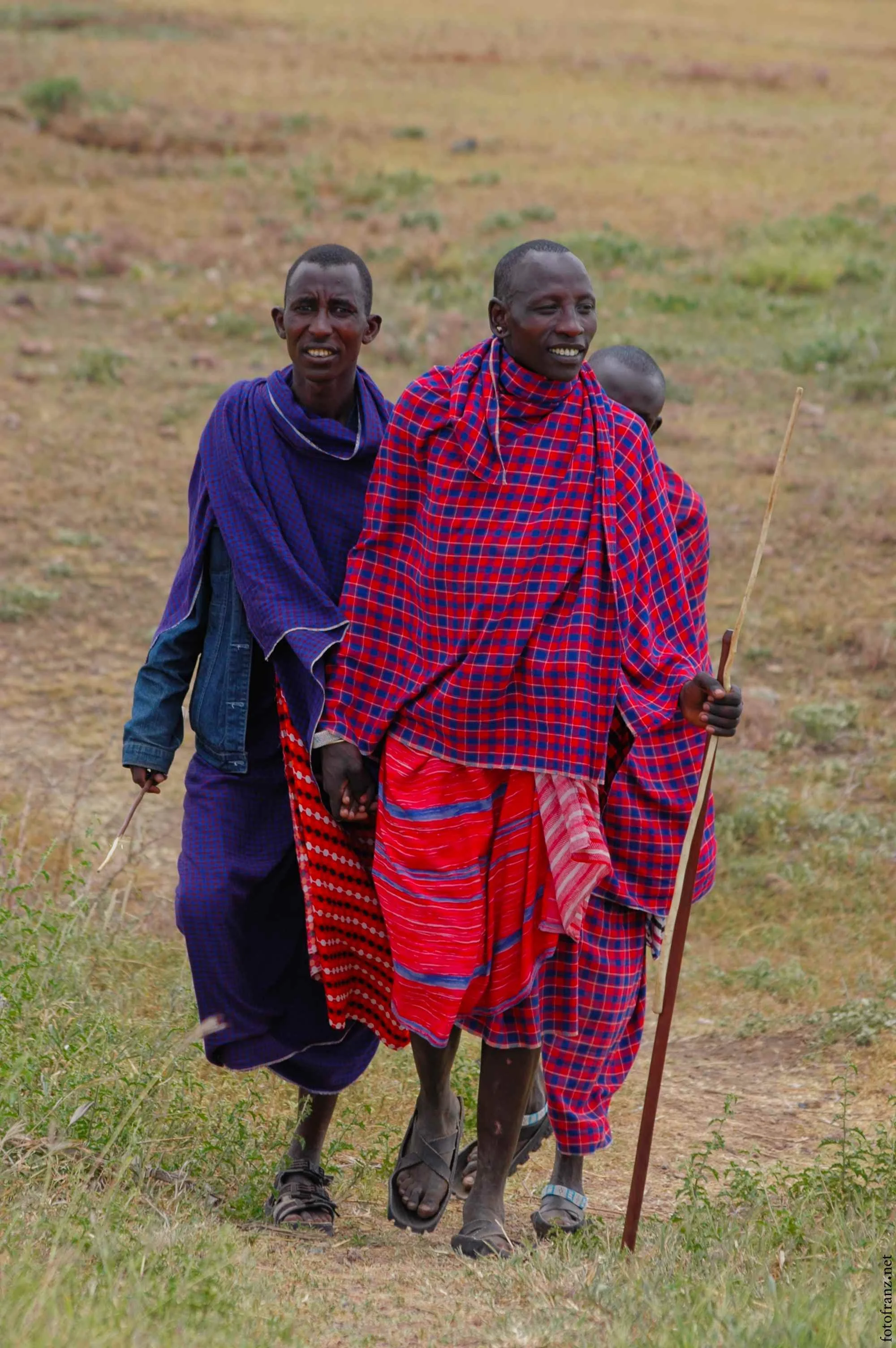 Drei Maasai-Männer in traditioneller Kleidung auf einem Feld, unterwegs mit einem Spazierstock.