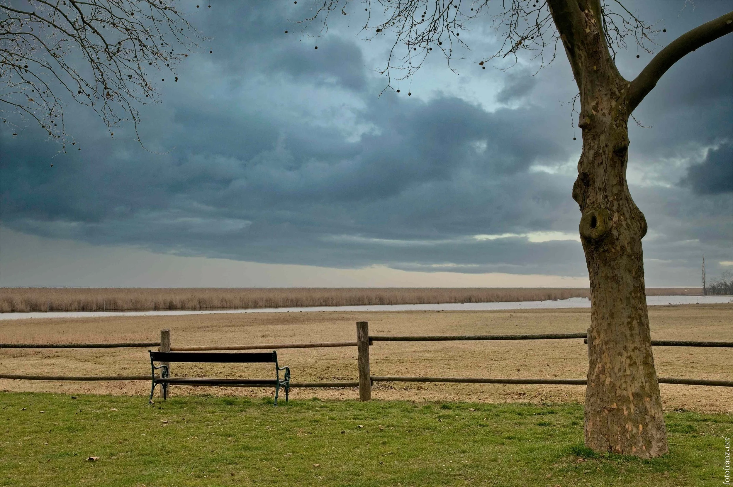 Verregneter Park mit Baum, Bank und Blick auf Wasser und Wiesen bei dunklem Himmel.
