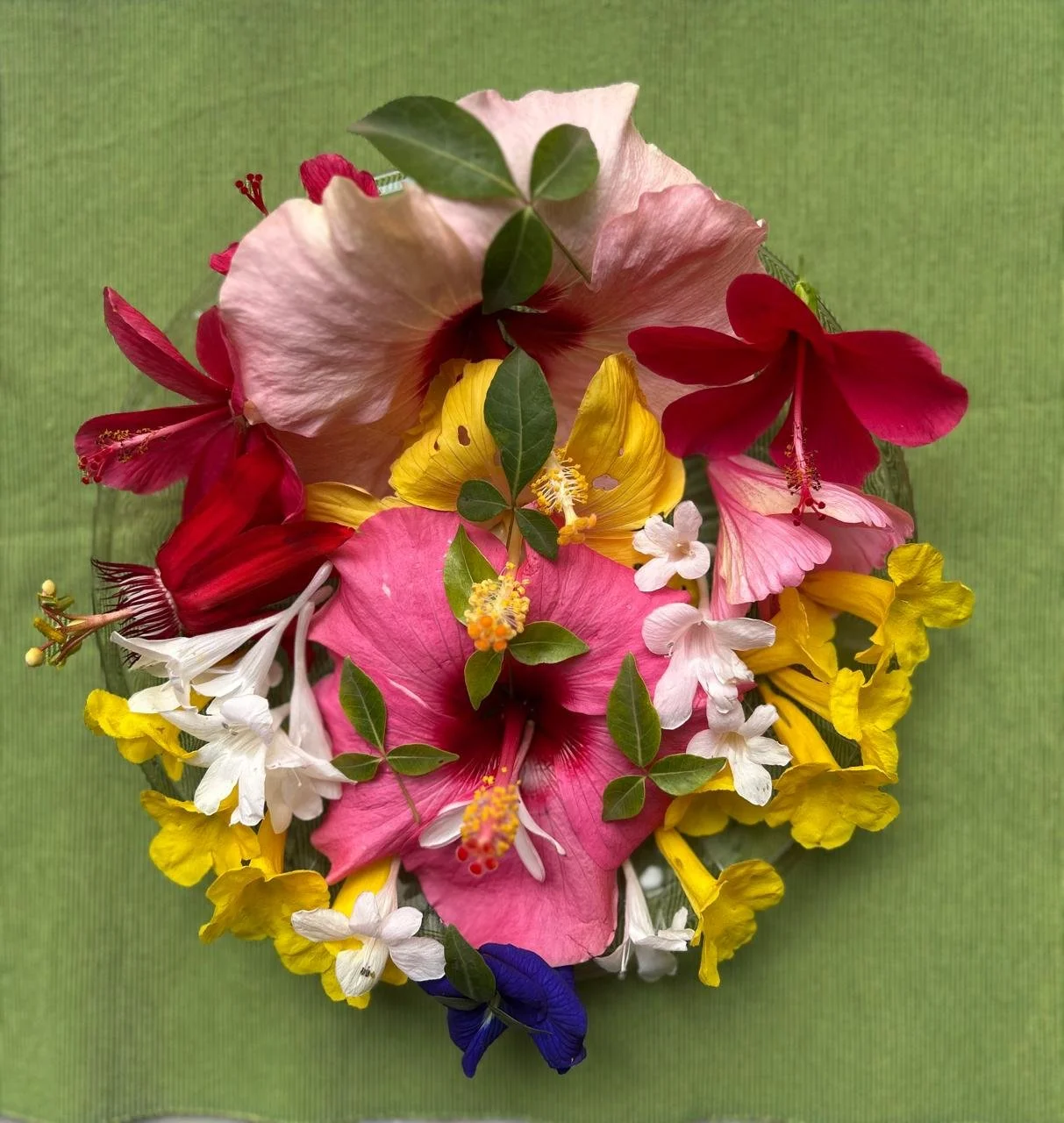 Welcome Spring…in Marathi Way