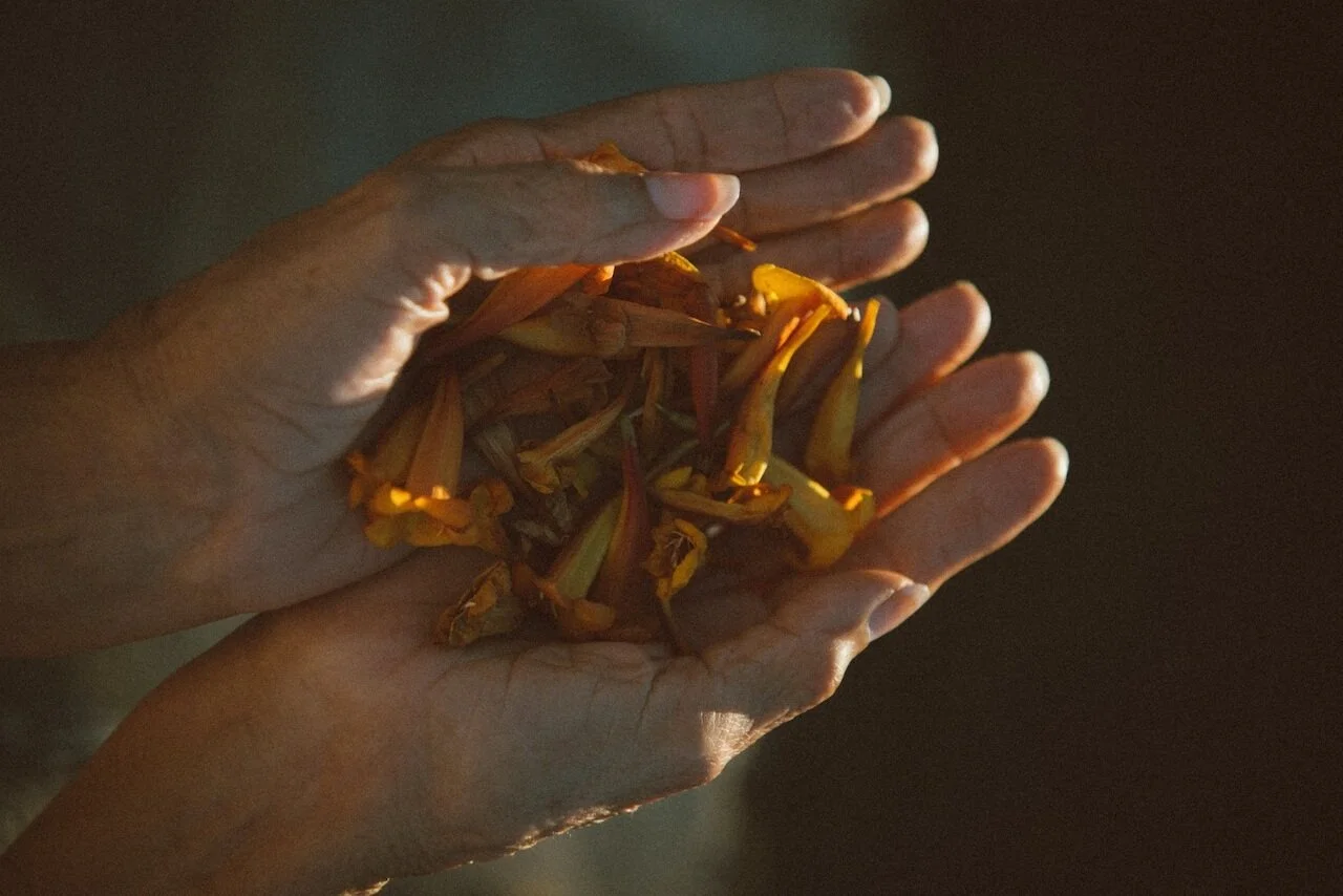 Free Workshop Template