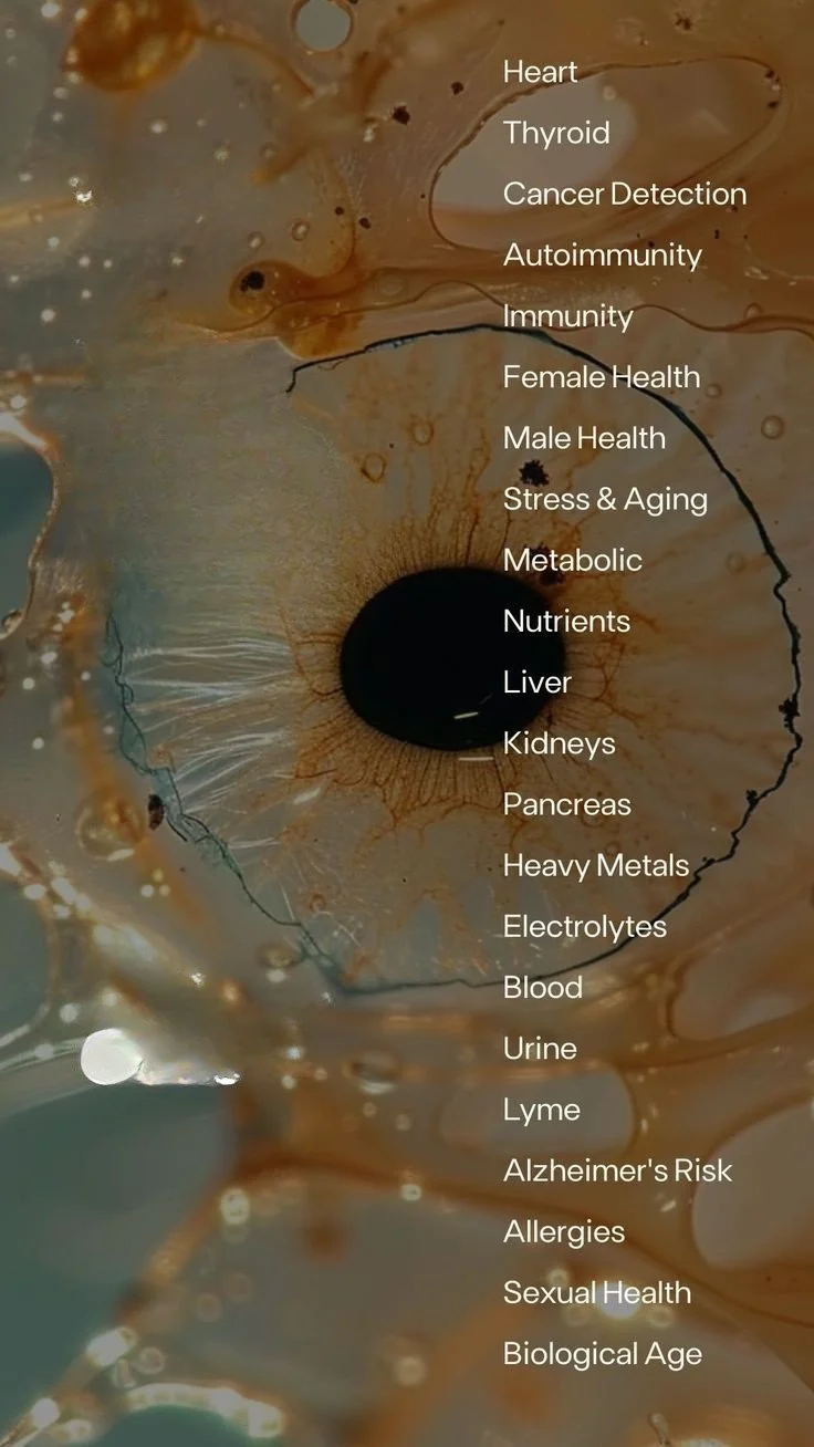 longevity labs Nikki Martin wellness