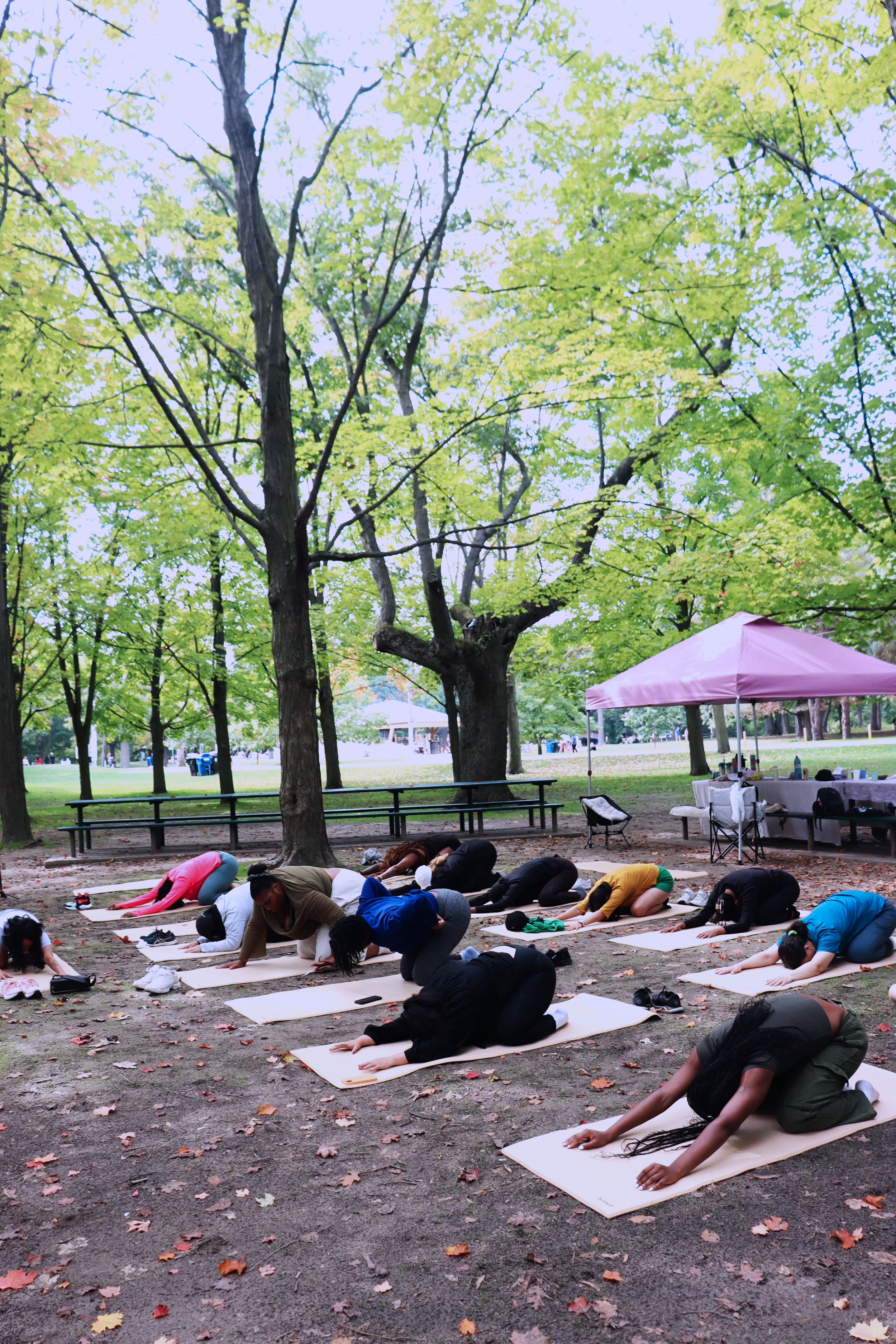 Group of people practicing yoga outdoors under trees