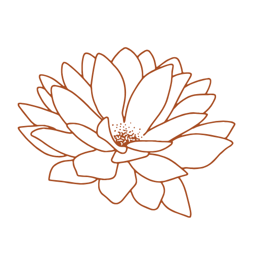 Line drawing of a lotus flower with multiple petals and a detailed center.