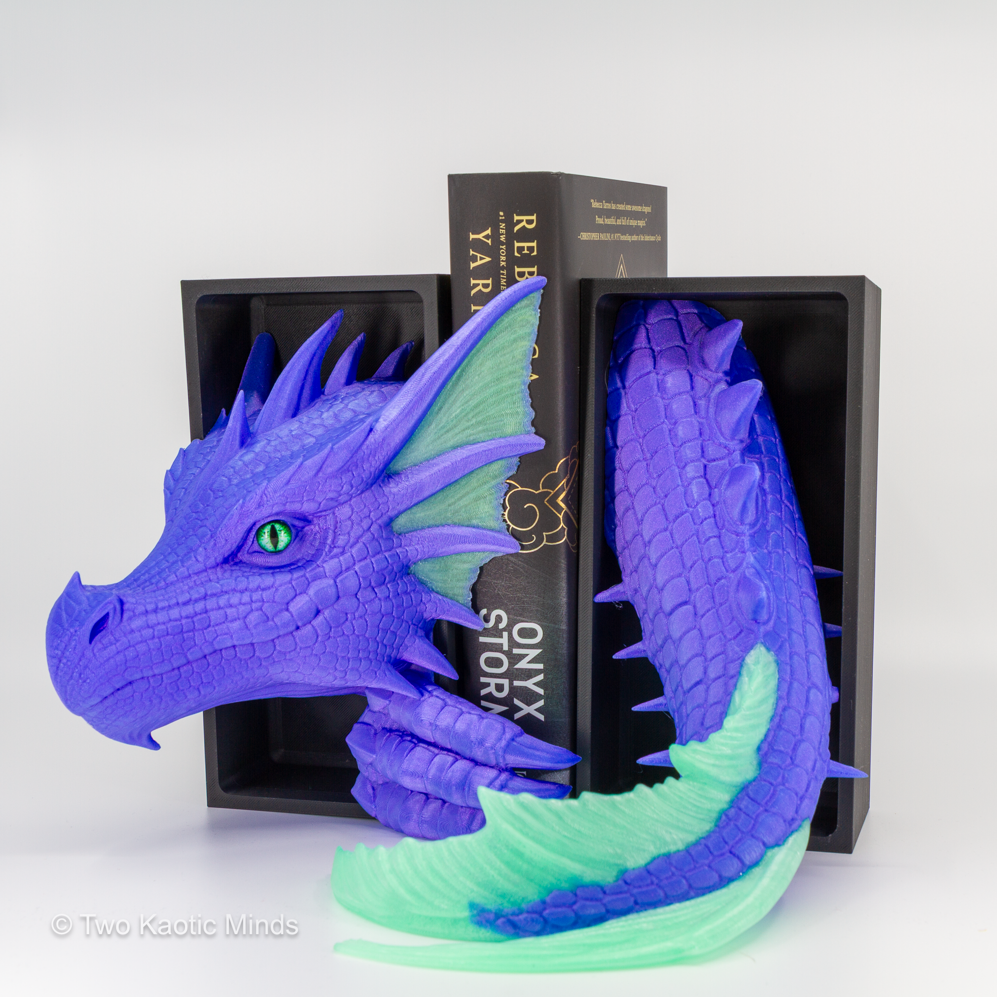 Sea Dragon Book Nook