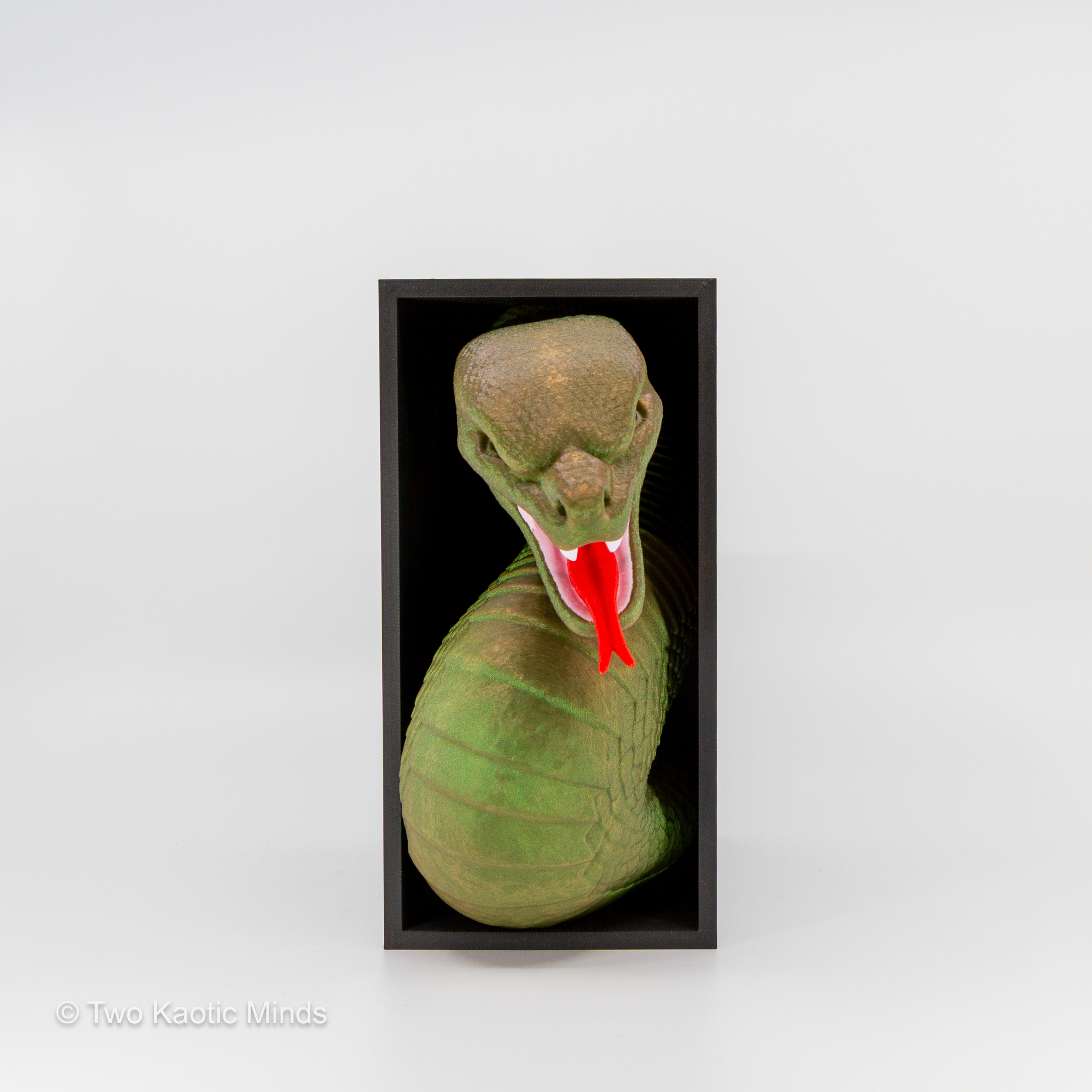 3D printed snake book nook with green and brown cobra rearing up with open jaws and red forked tongue inside a matte black outer box, front view on grey background