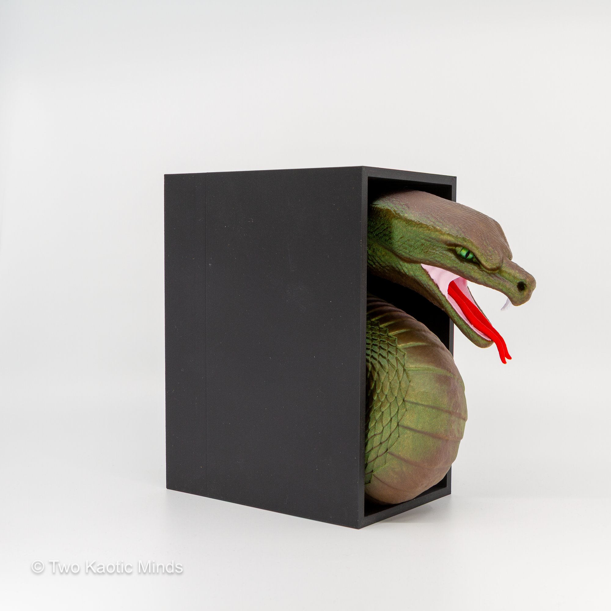 Opposite side angle of the snake book nook showing full matte black box depth and green cobra profile with red tongue