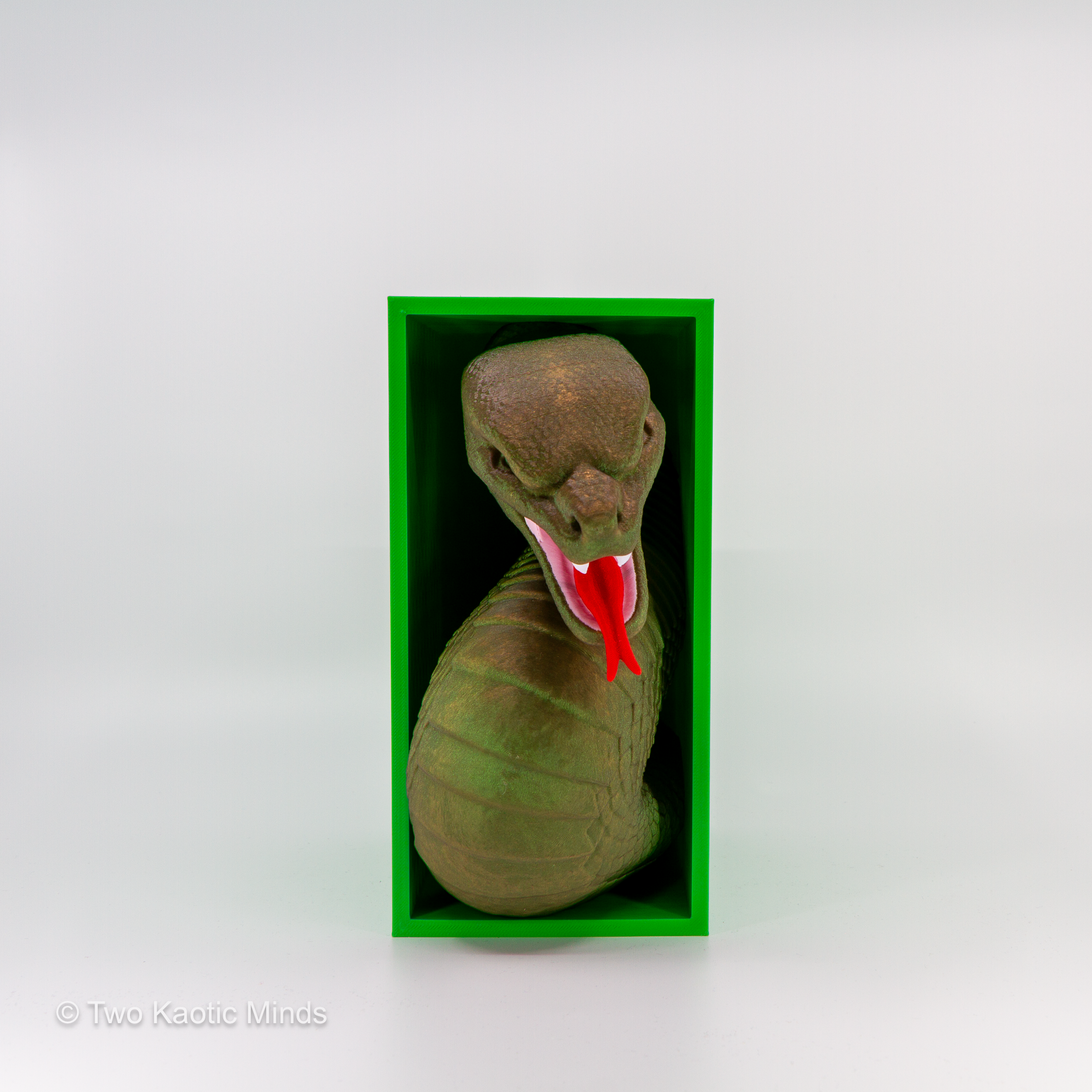 20260125 - Book Nook - Harry Potter - Snake_01.png