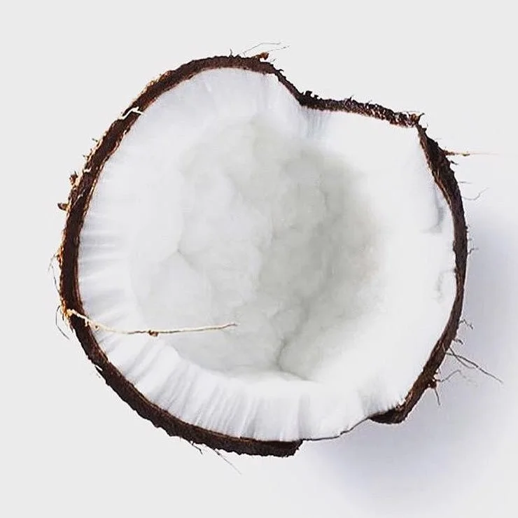A cross-section of a coconut showing its white flesh and brown outer shell.