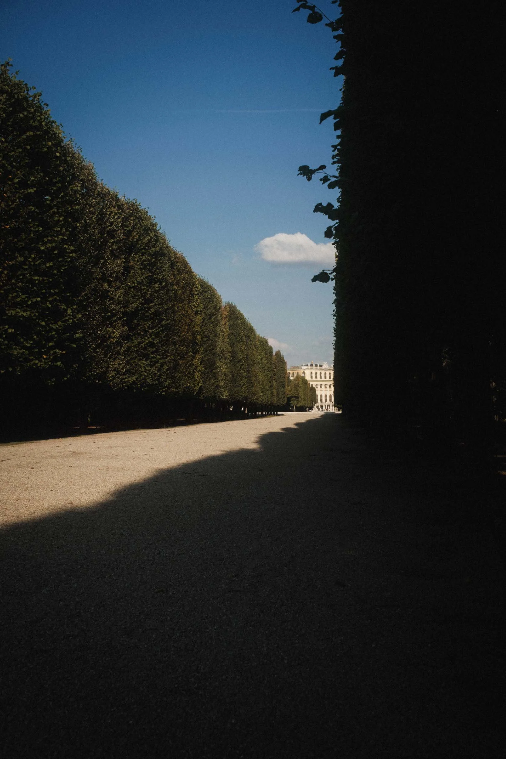 schloss schonbrunn with interesting lines in shadow