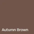 Autumn Brown.jpg