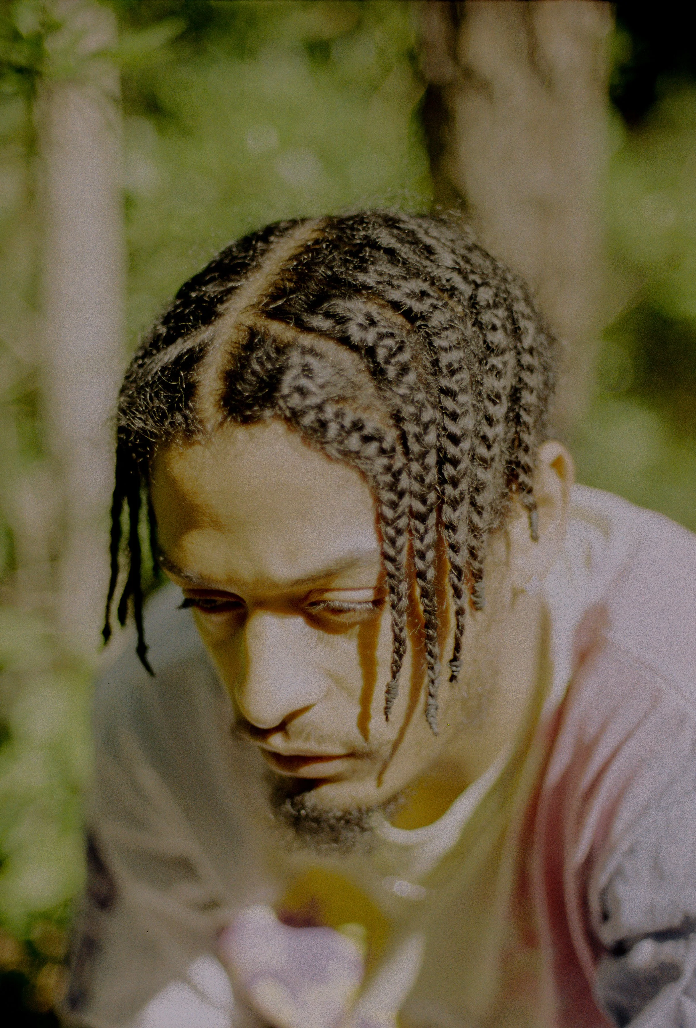 dio polariod looing ne-2.jpg