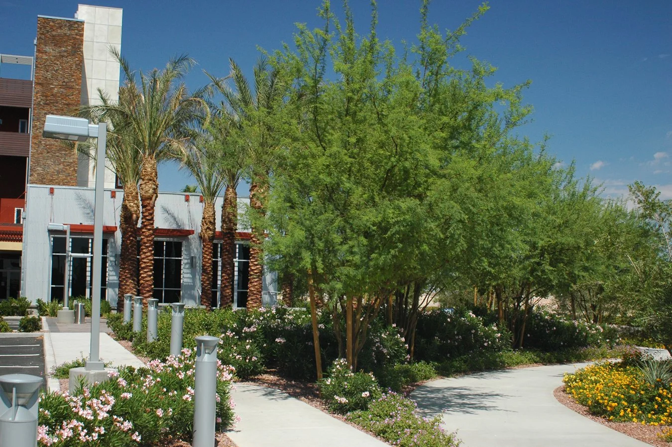 C2Lofts-09-08-sidewalk-pkg.jpg