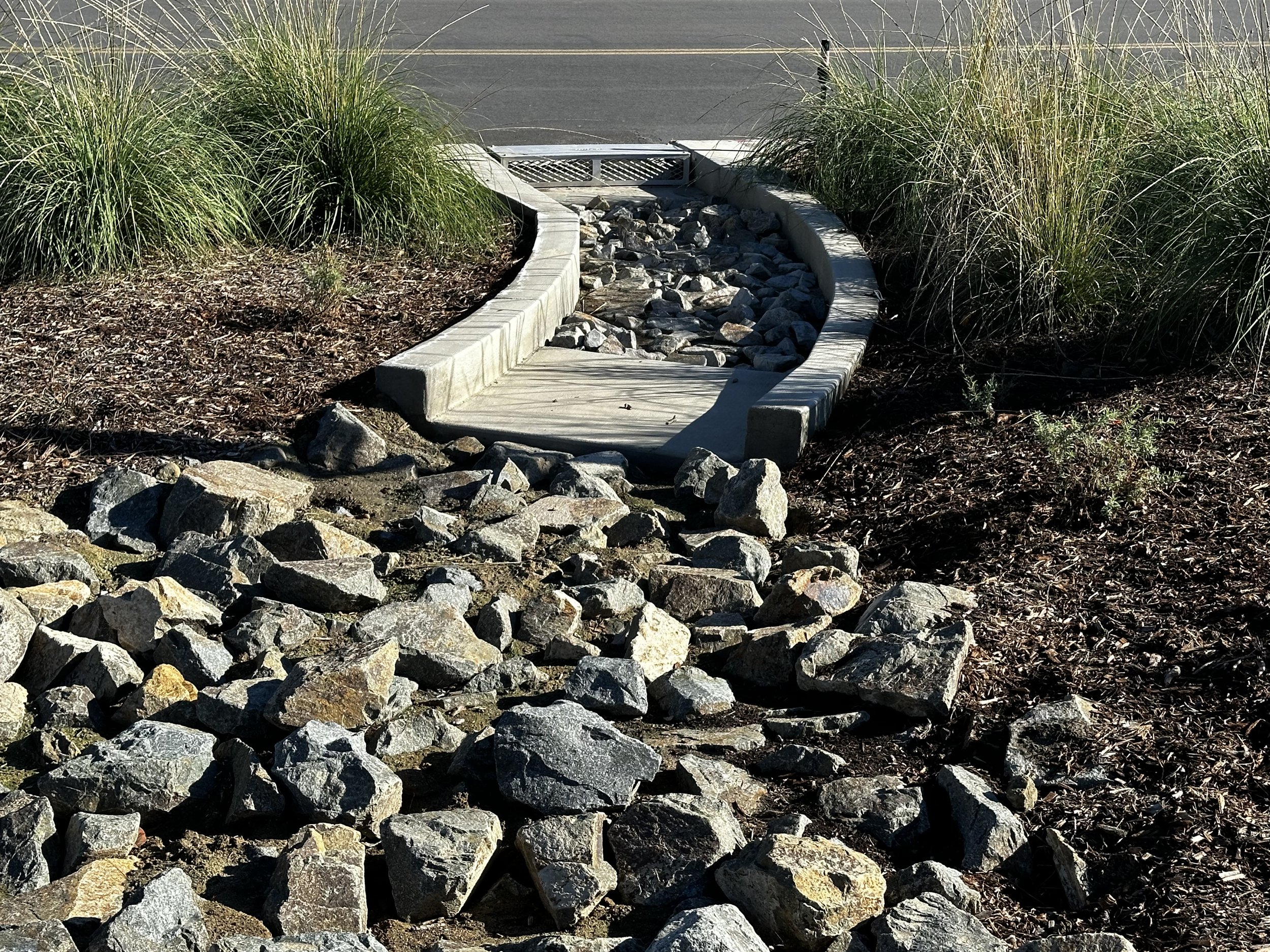SC Lirbary Rd South Mary Opel 3133.JPG