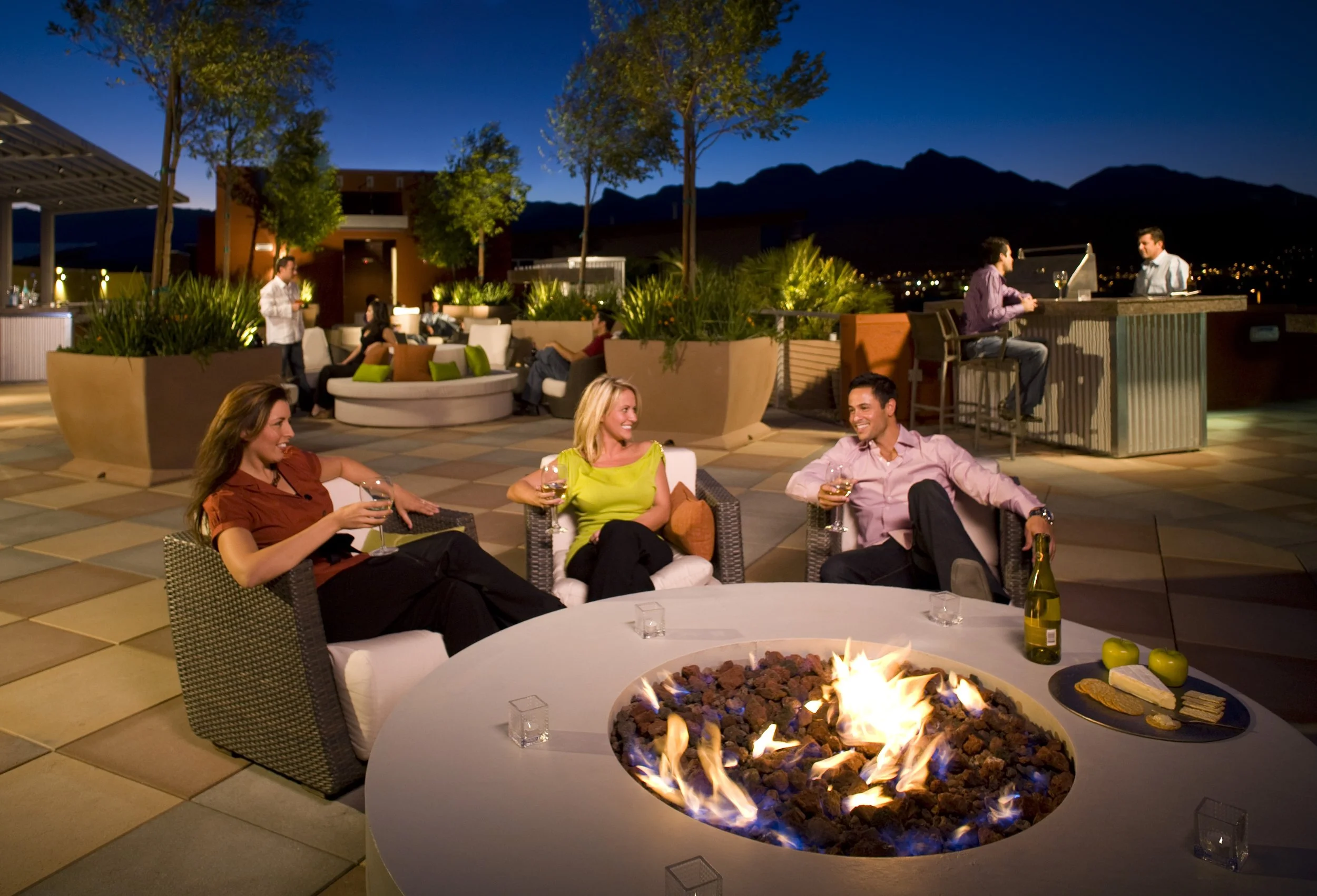C2 Lofts_Rooftop Garden Lifestyle.JPG