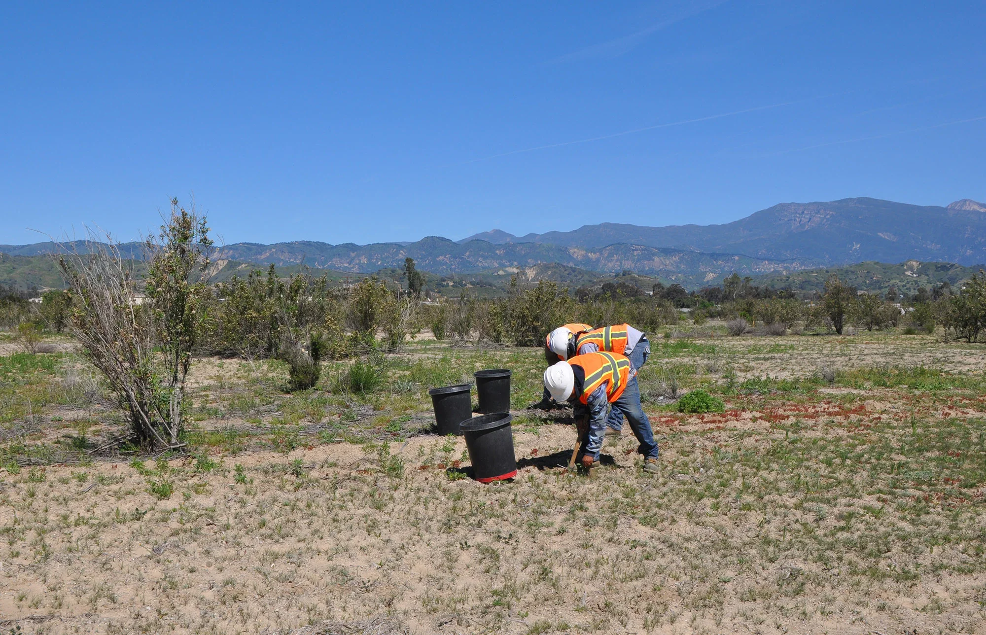 Nature+Conservancy-planting.webp