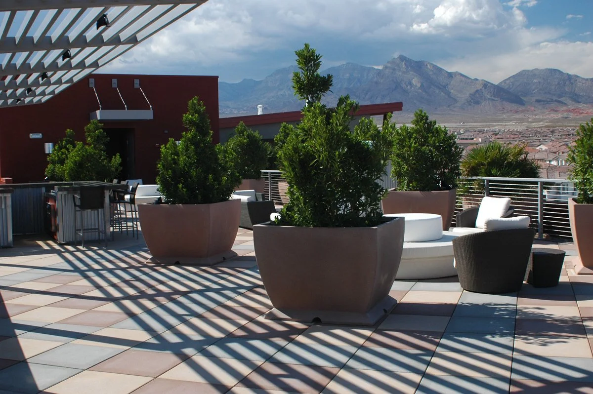 C2Lofts-09-08-roofsdw.jpg
