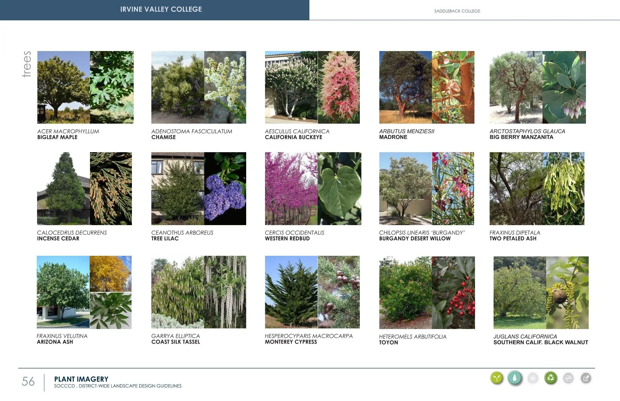 20004-01+Dist+Wide+Design+Guidelines+2022-03-03-select+sheets+Page+012.webp