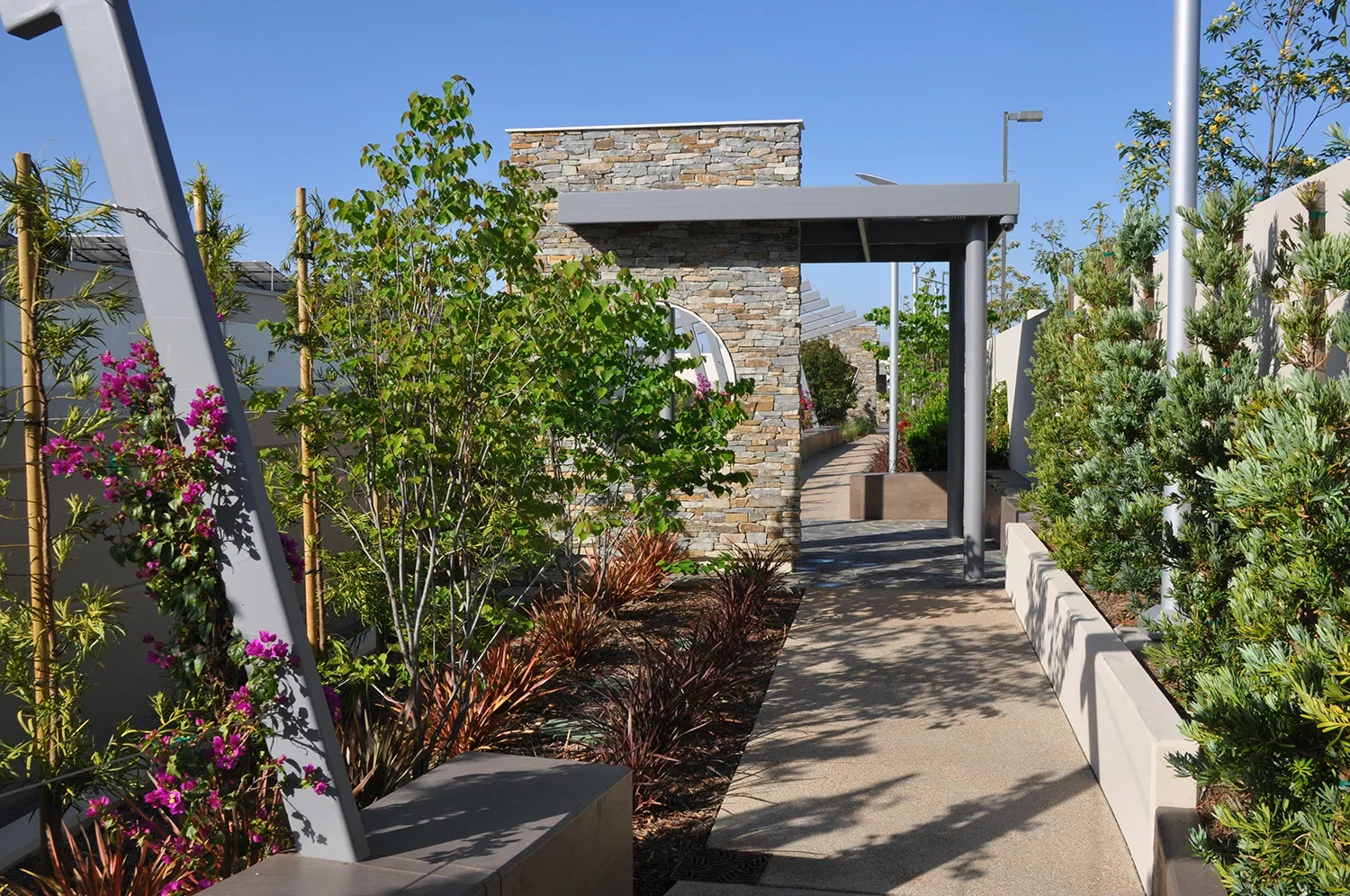 Applied Medical Campus
