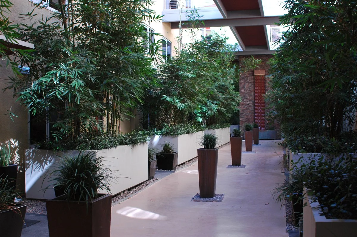 C2Lofts-09-08-passage.jpg