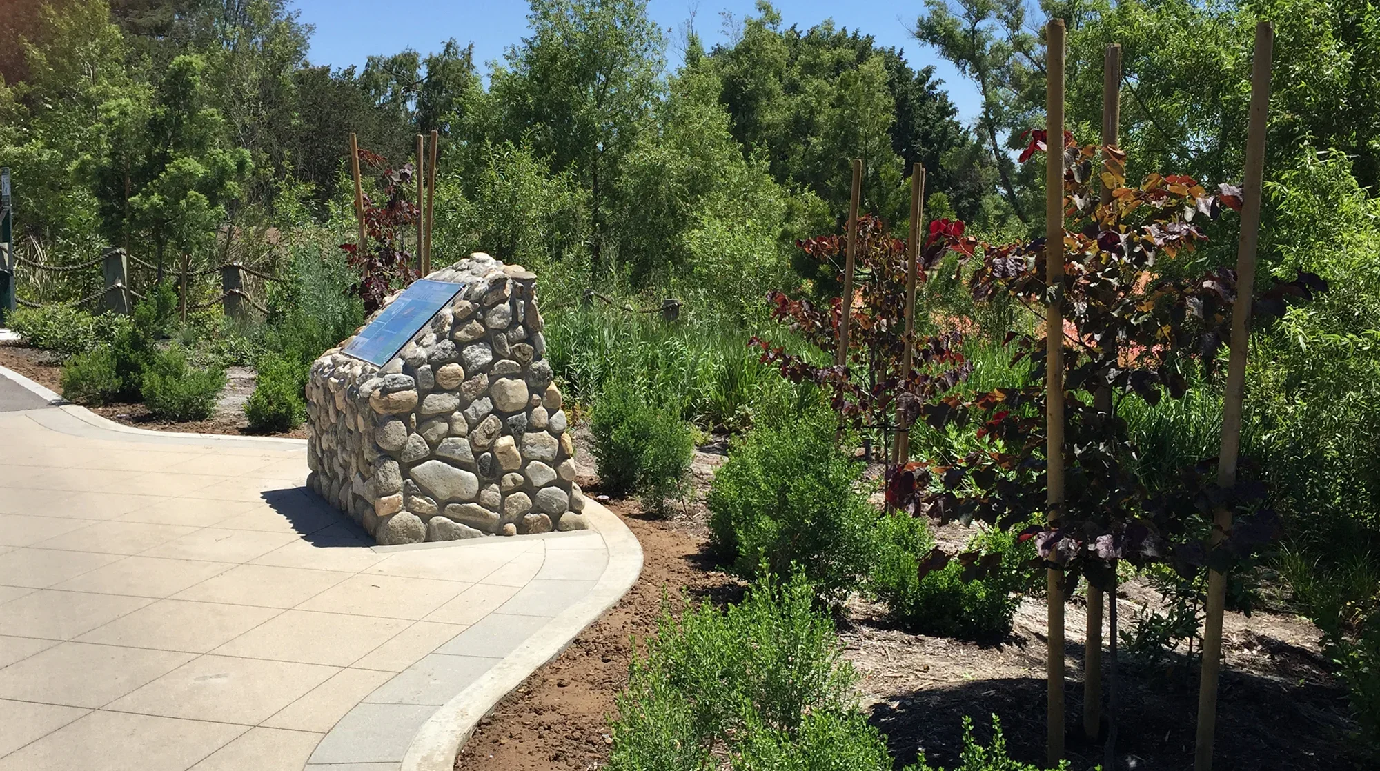 Machado Lake Restoration