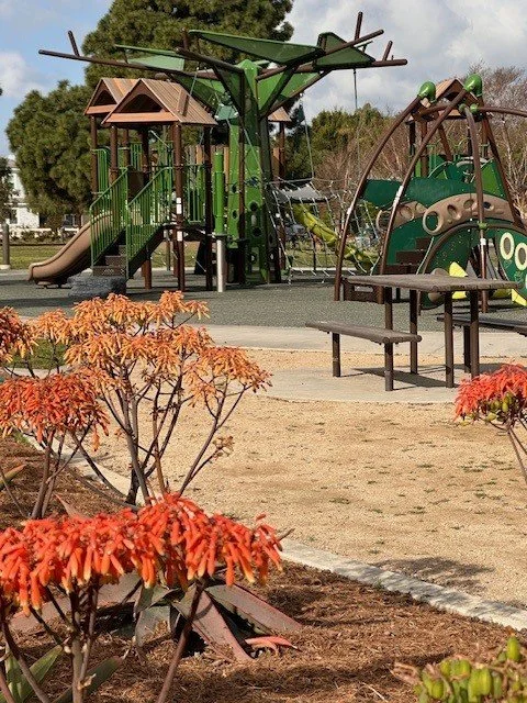 Franklin Pk - play veiw.jpg