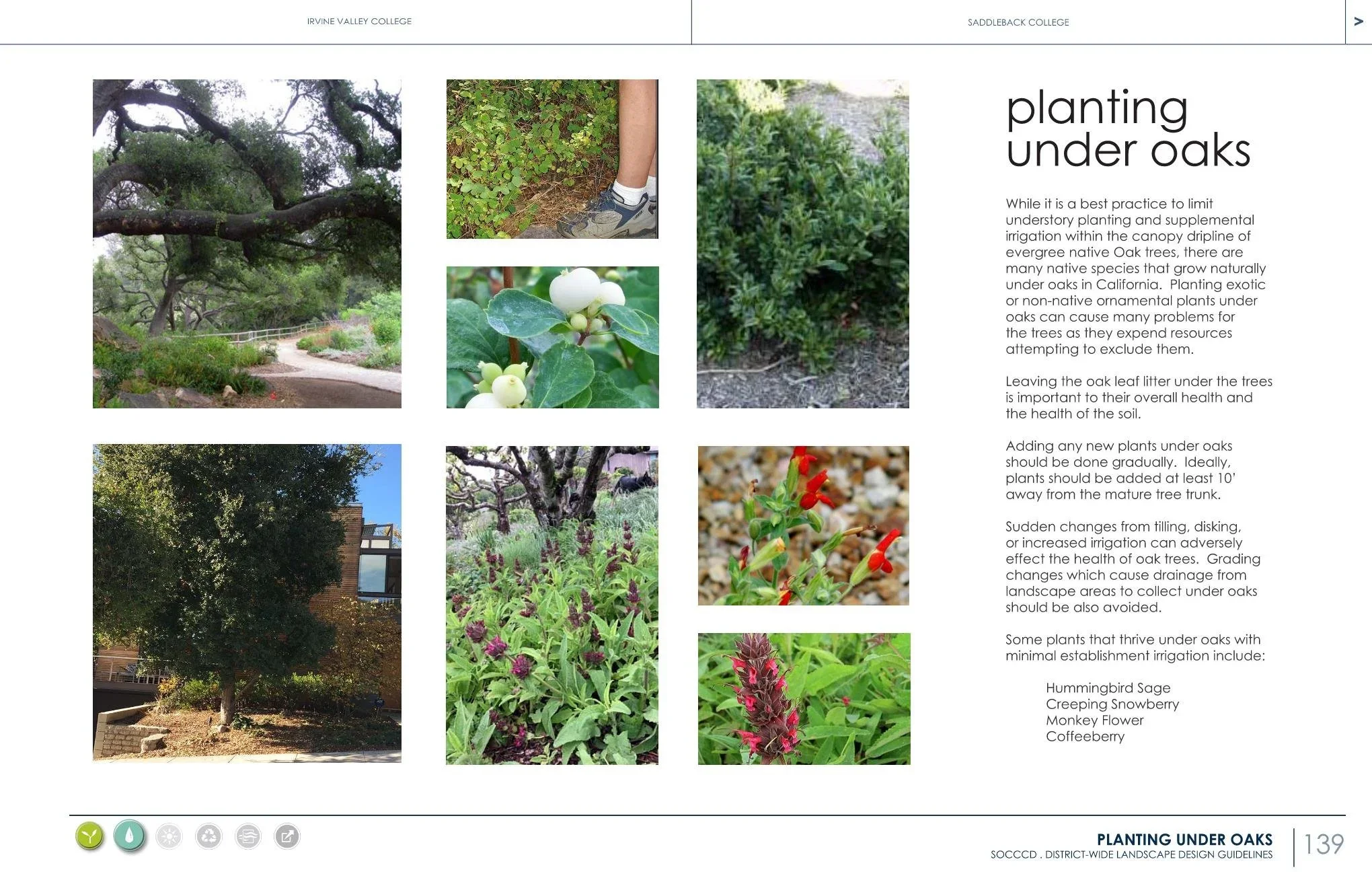 20004-01+Dist+Wide+Design+Guidelines+2022-03-03-select+sheets+Page+059.webp