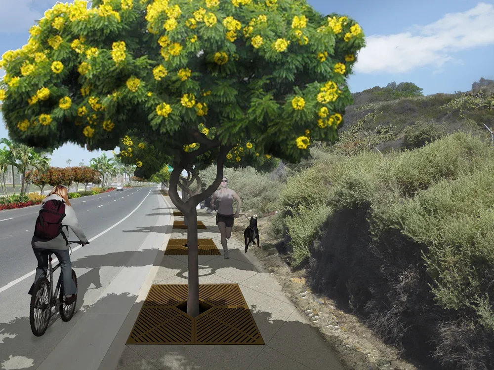Sidewalk+Tropical.webp