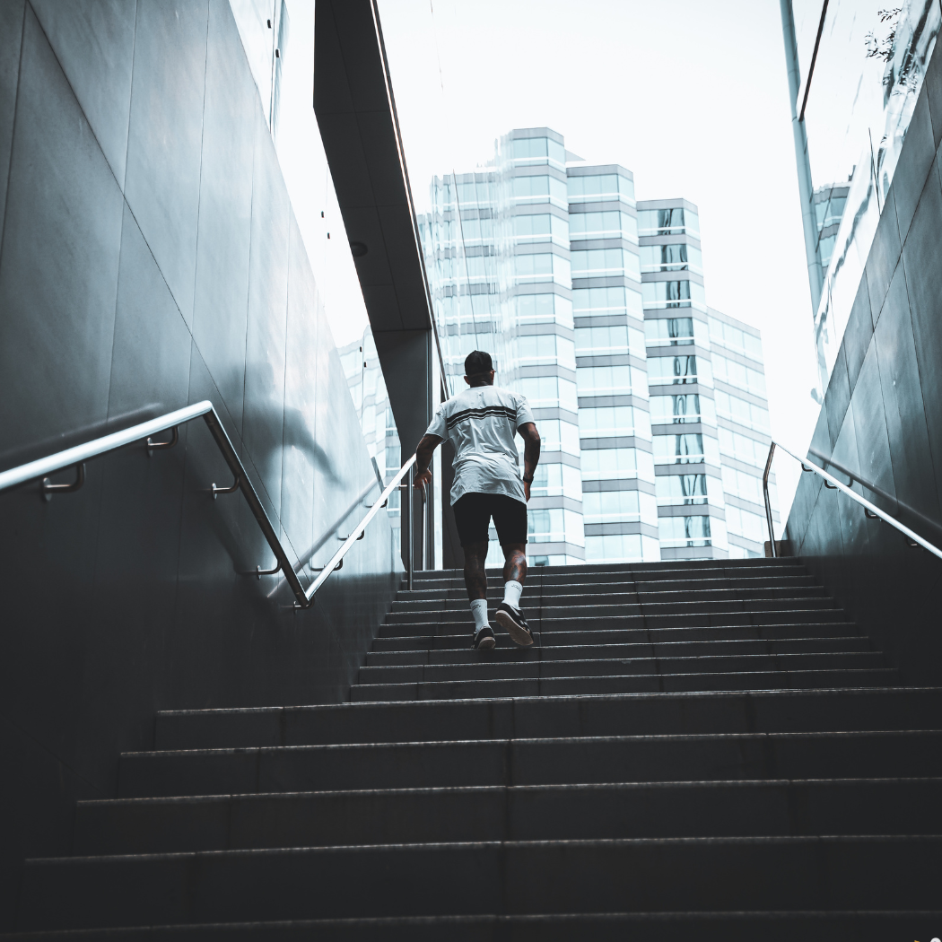 Business continuous improvement customs consultancy supply chain international trade