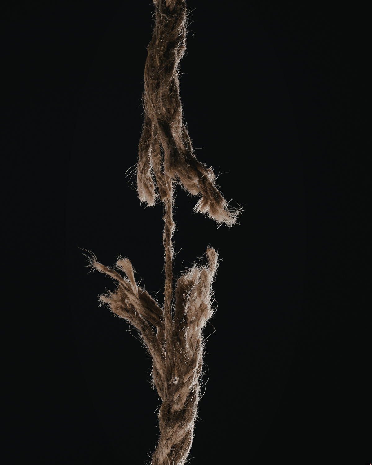 Company pressure from a HMRC Customs Audit.