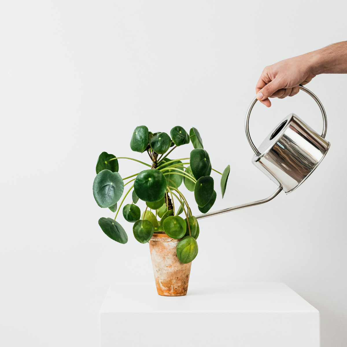 Pulse Management Package