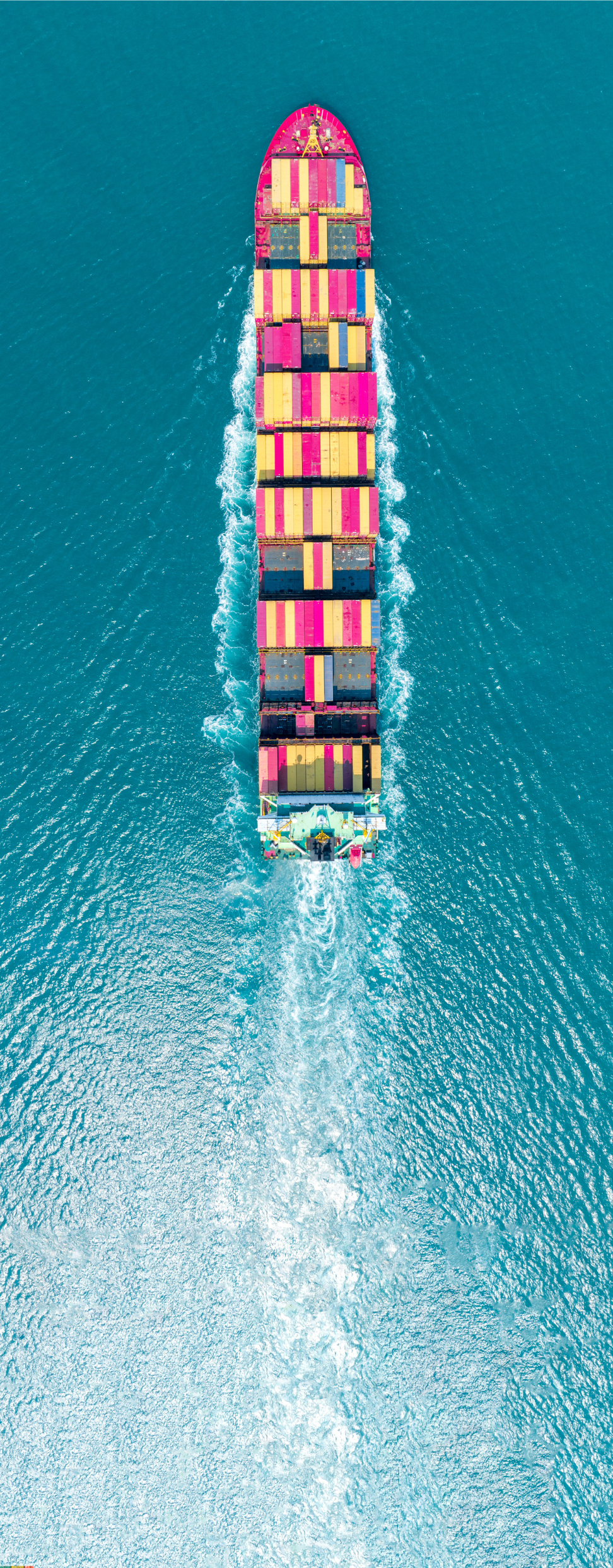 Customs Consultancy Free Introductory Session Duty Savings