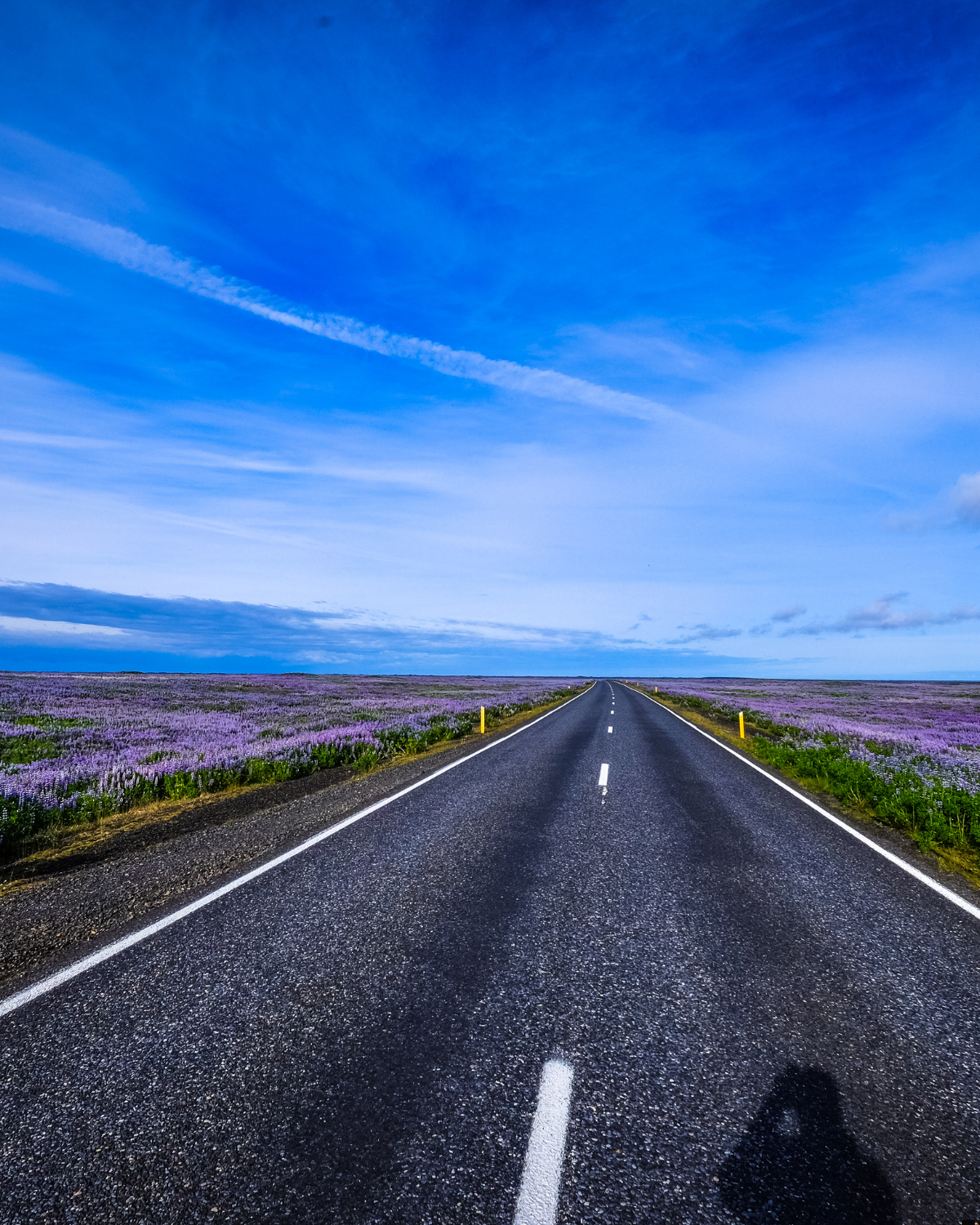 Roadmap for in-house CDS Customs Declarations and HMRC Compliance Management.