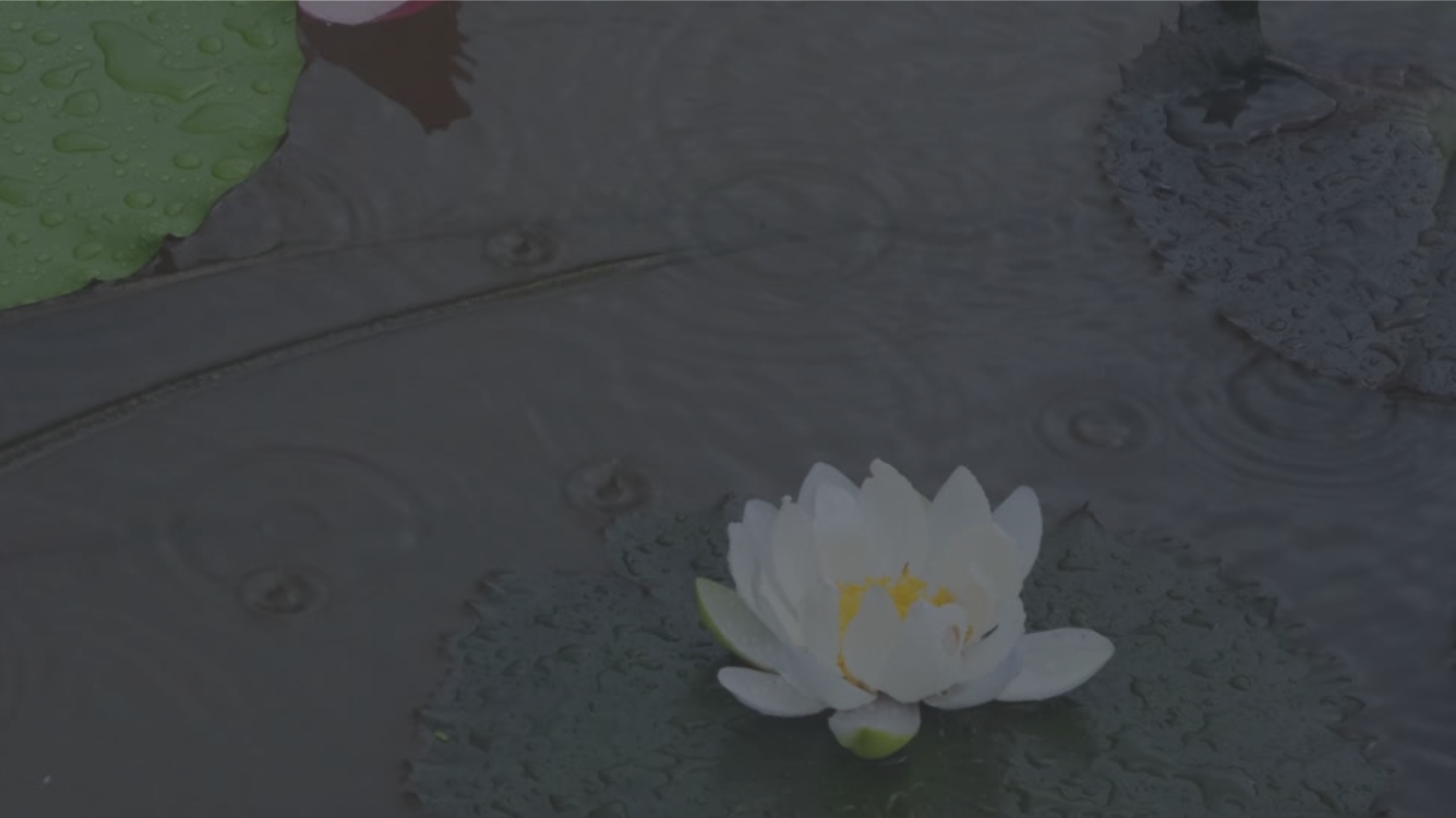 Heather Hatcher Yoga  Wireframe (Presentation) (9).png