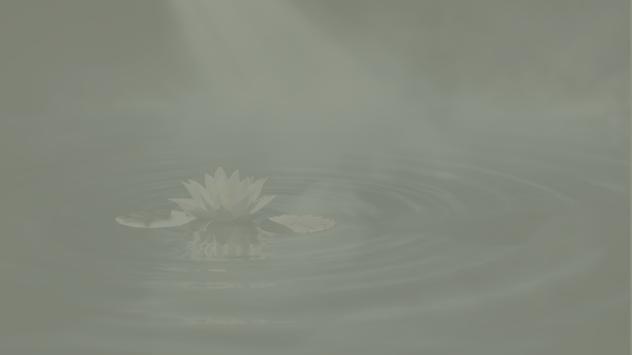 Heather Hatcher Yoga  Wireframe (Presentation).png