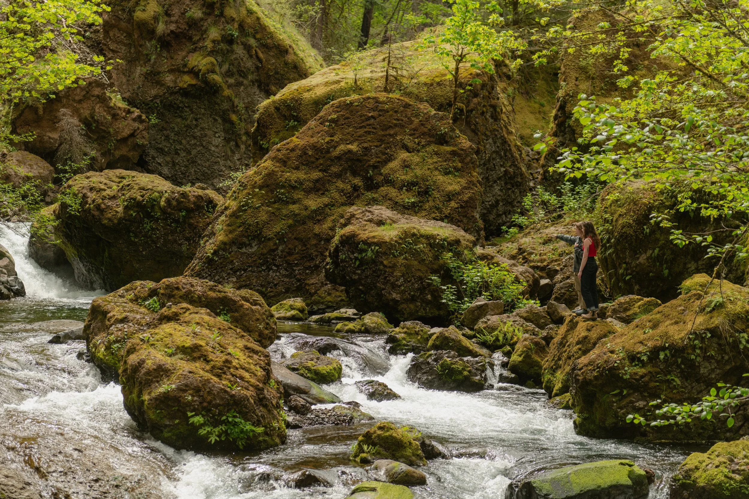 A young man and woman standing on moss-covered rocks in a forest stream, pointing at the water. Large mossy boulders and lush green trees surround the scene based in the Columbia River Gorge.