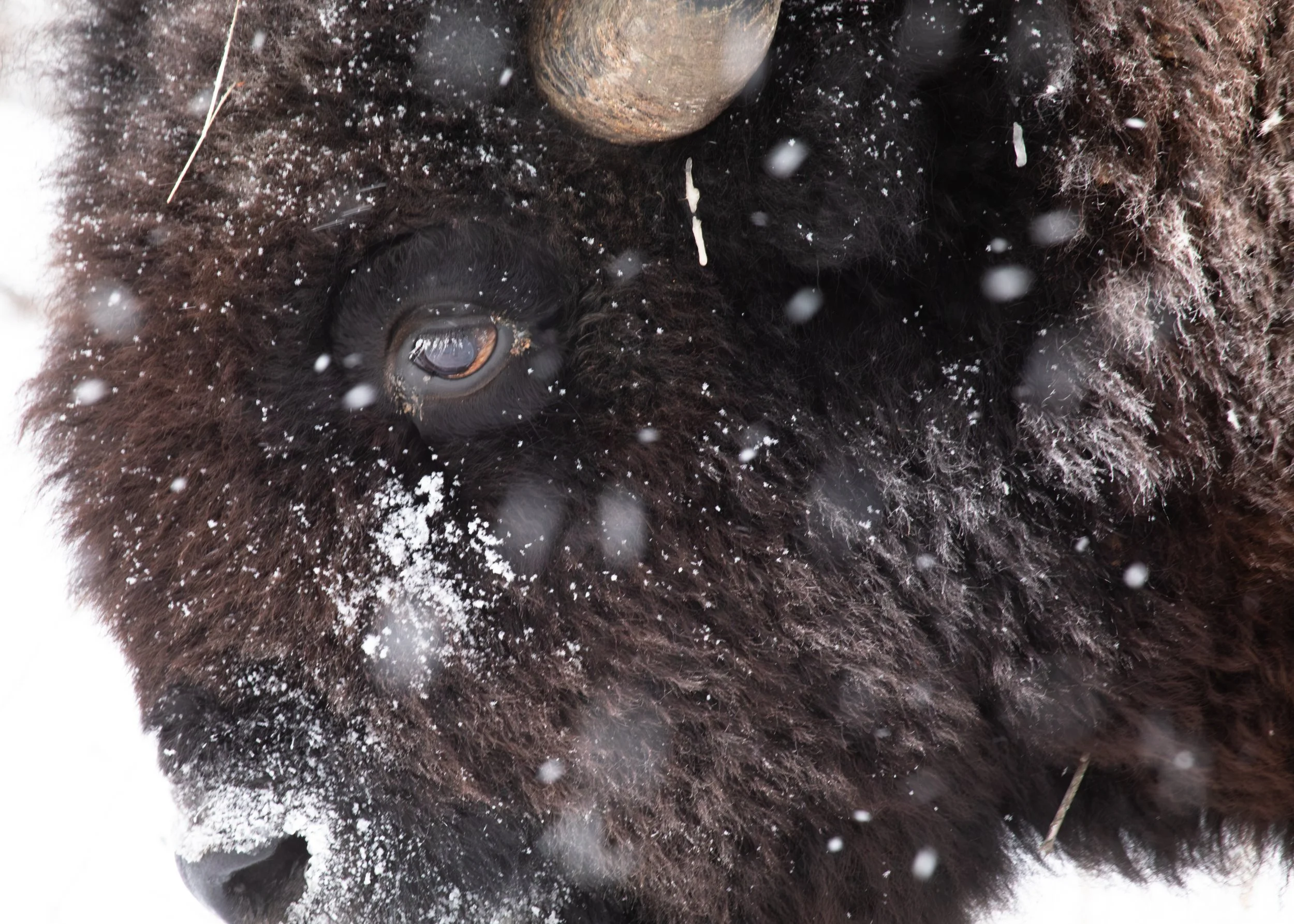 2025-12-27 - EOTB.jpg