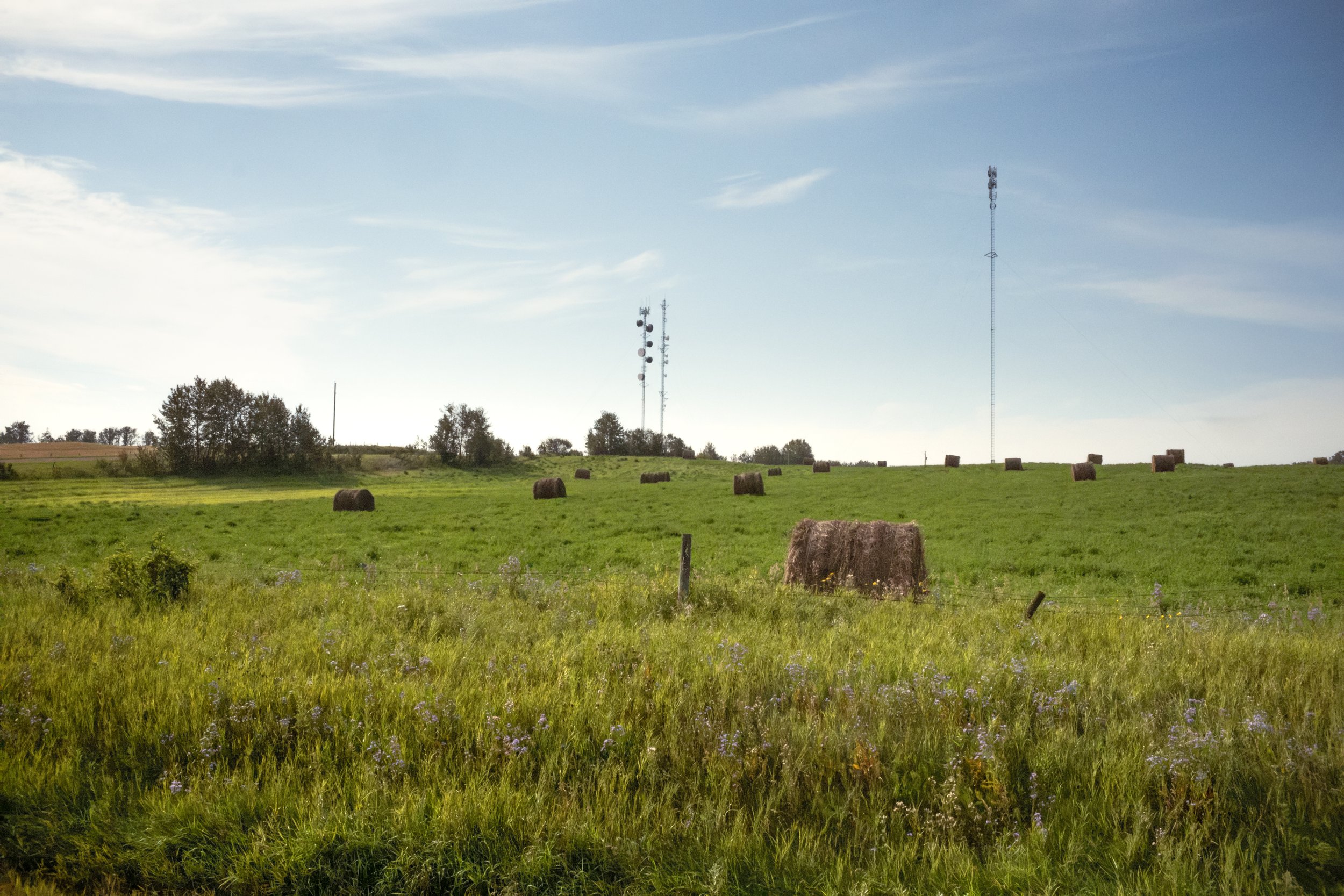 2026-08-13 - County Of-10.jpg