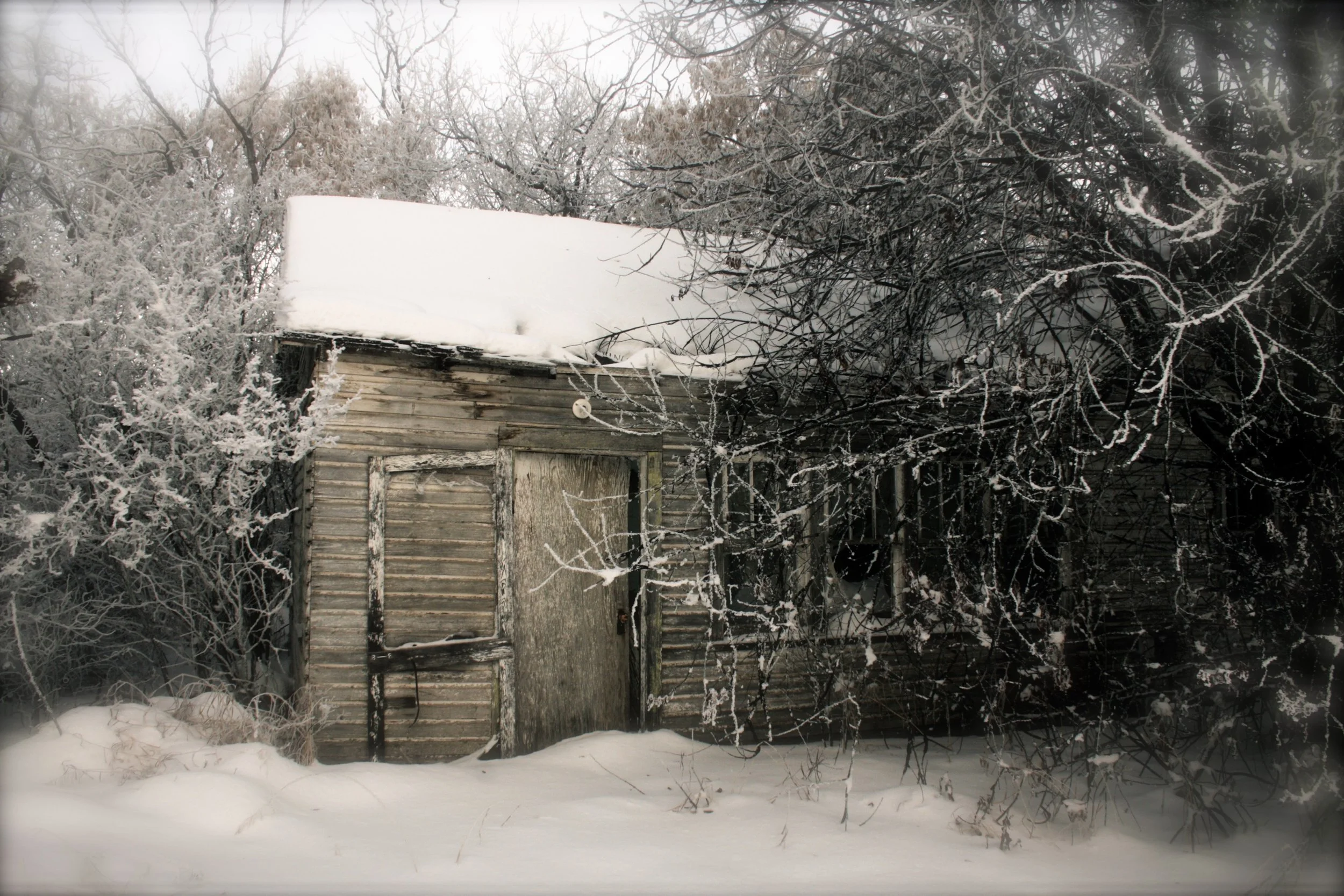 2024-04-22 - Farm-3.jpg