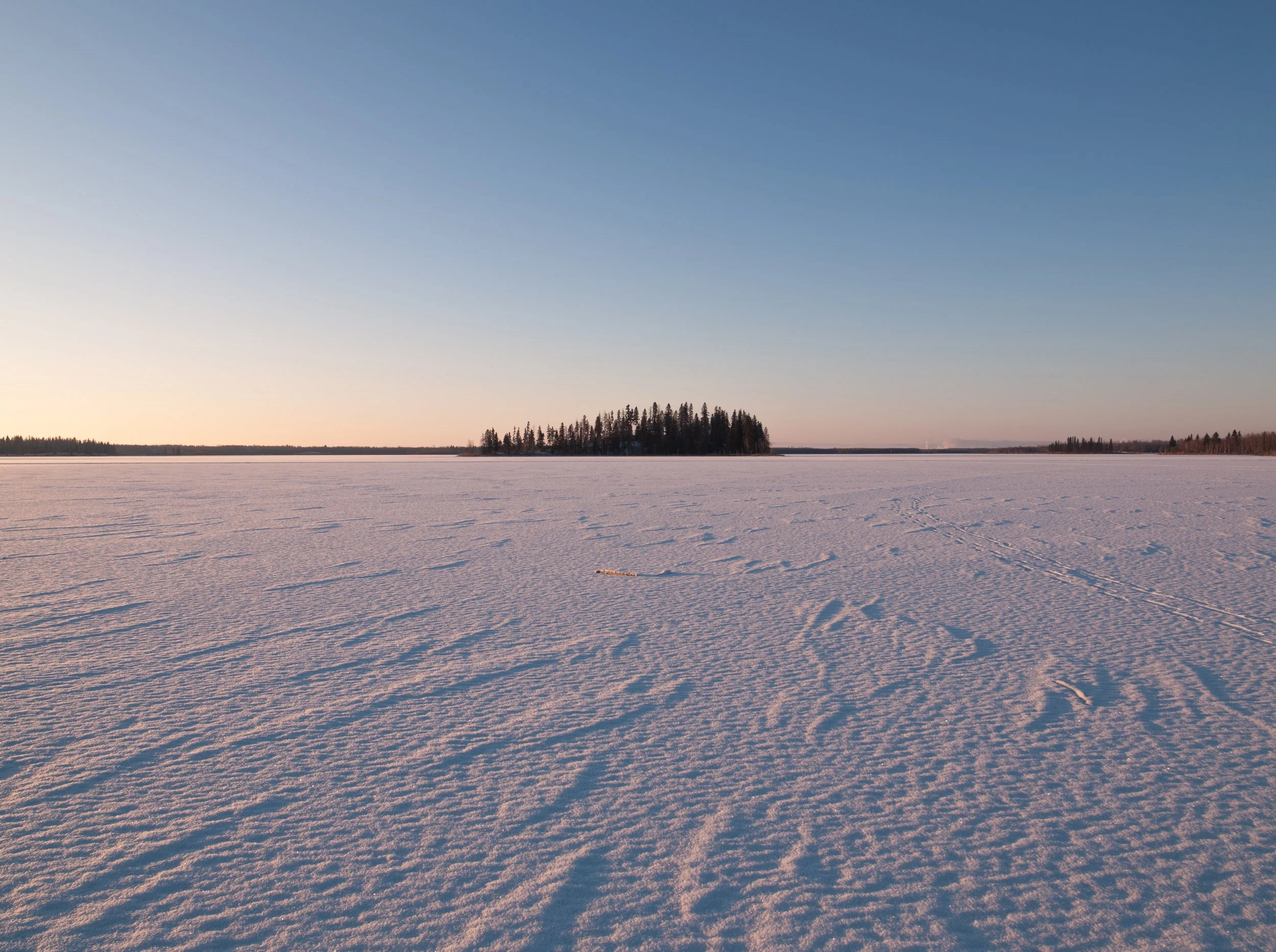 2025-11-19 - Bison-10.jpg