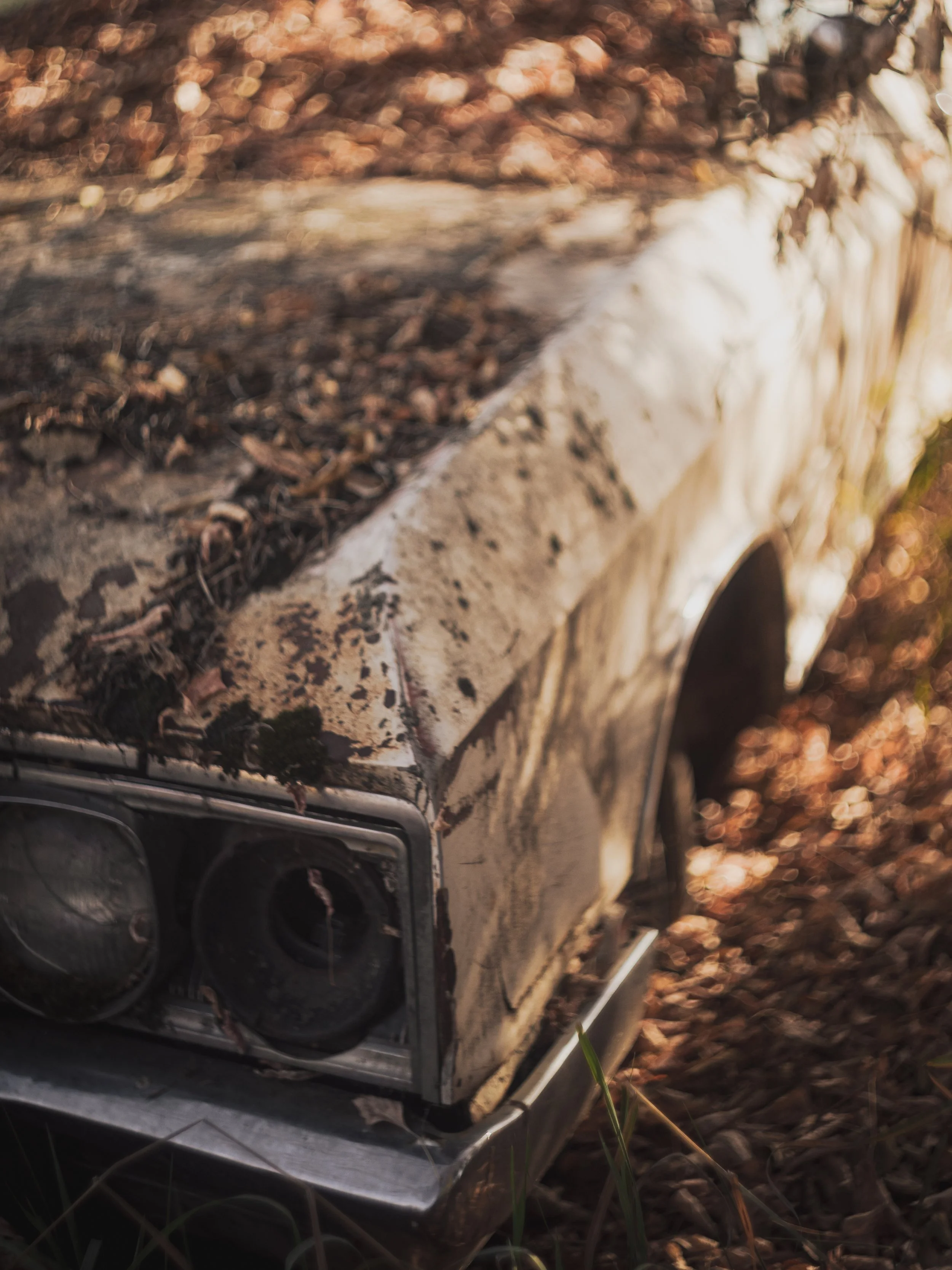 2021-12-20 - Rust.jpg