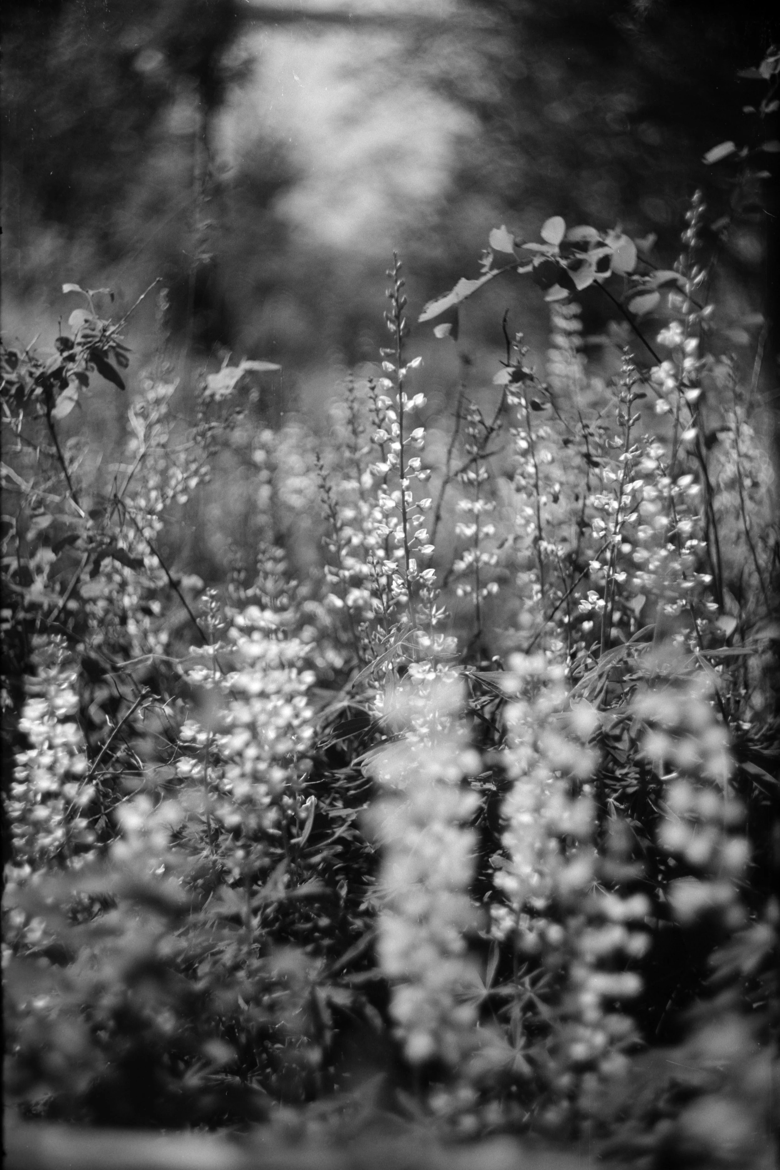 2024-06-17 - Bab13-6.jpg