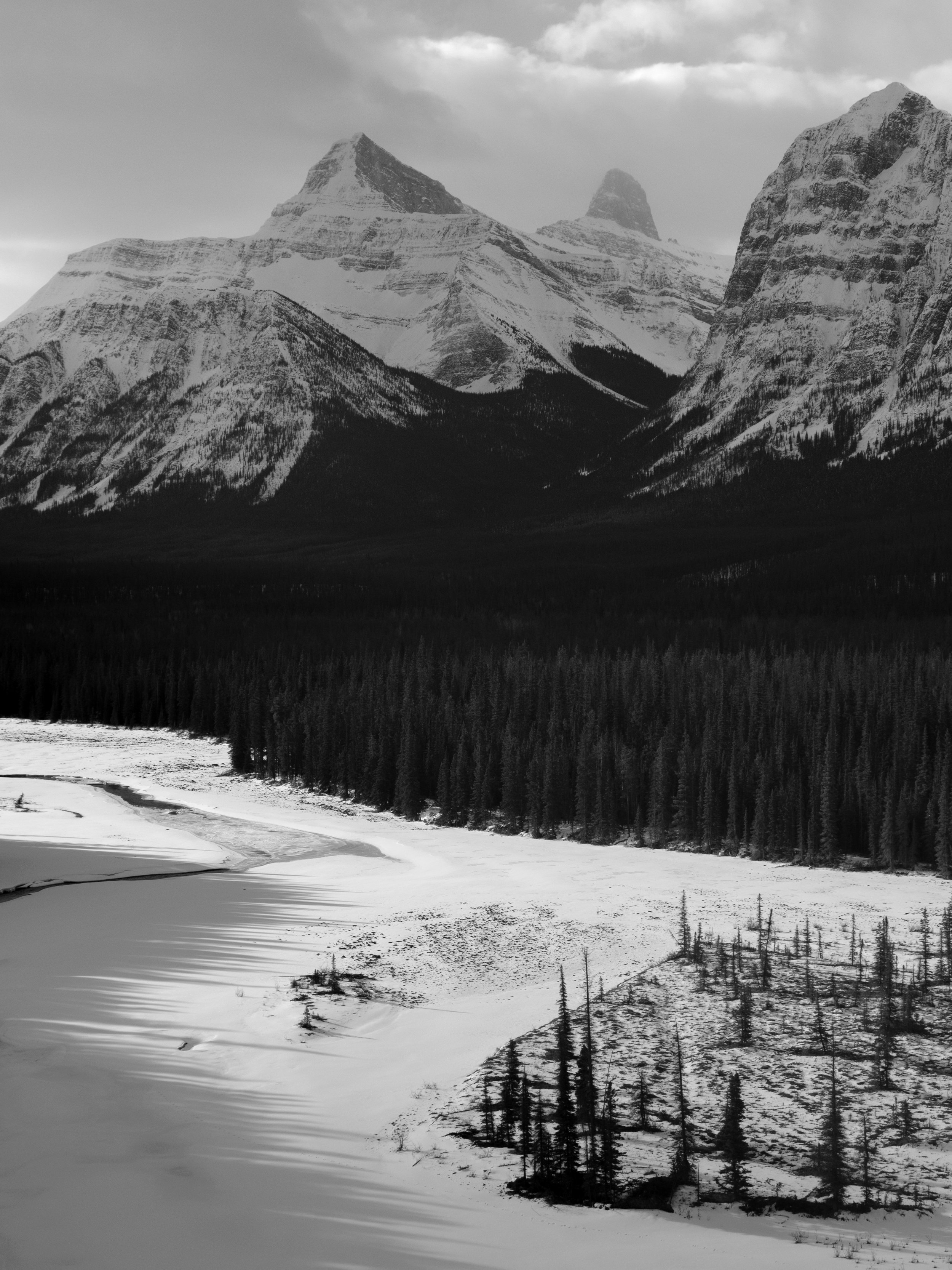 2025-03-28 - Jasper-7.jpg