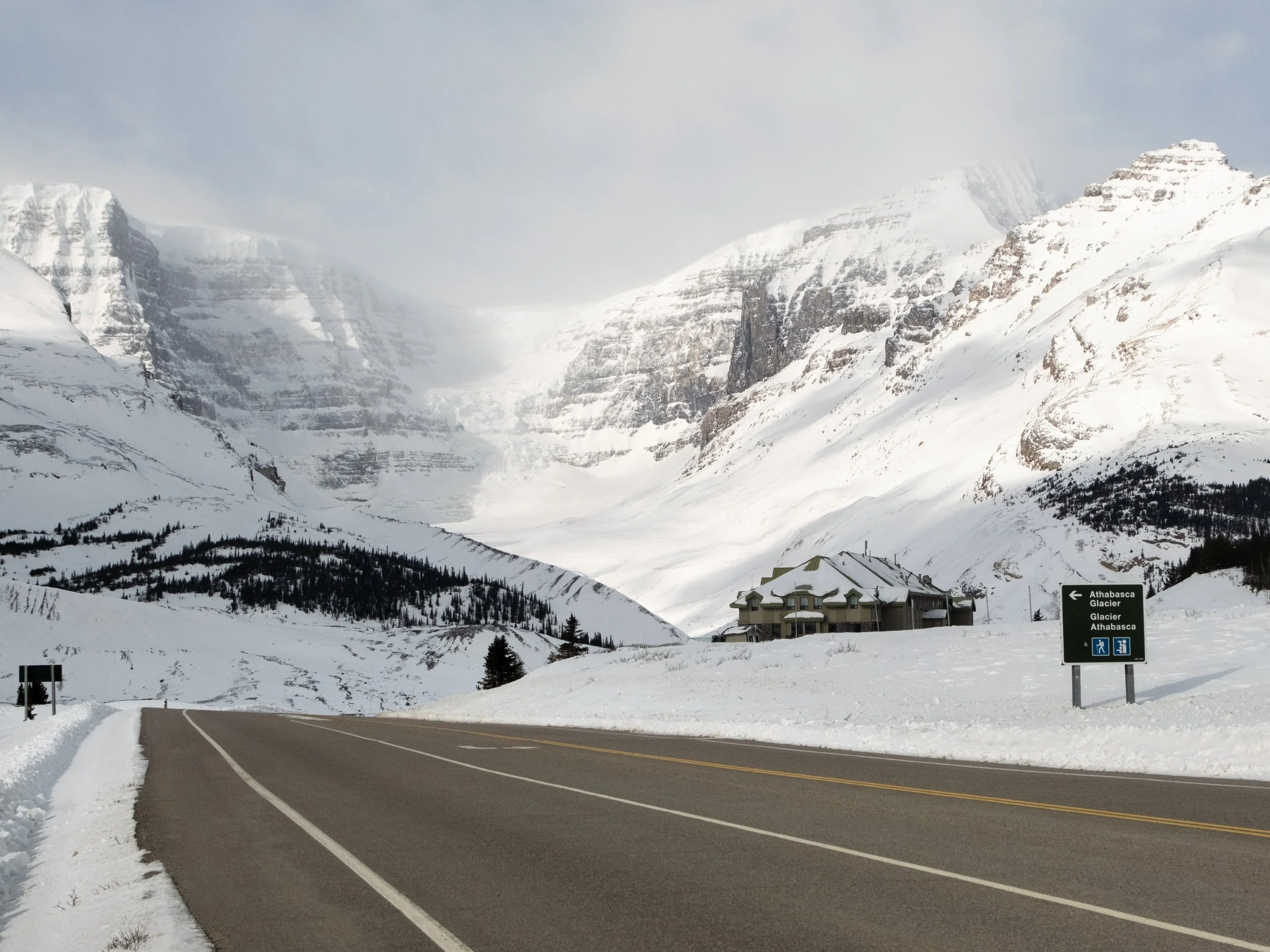 2025-03-28 - Jasper-2.jpg