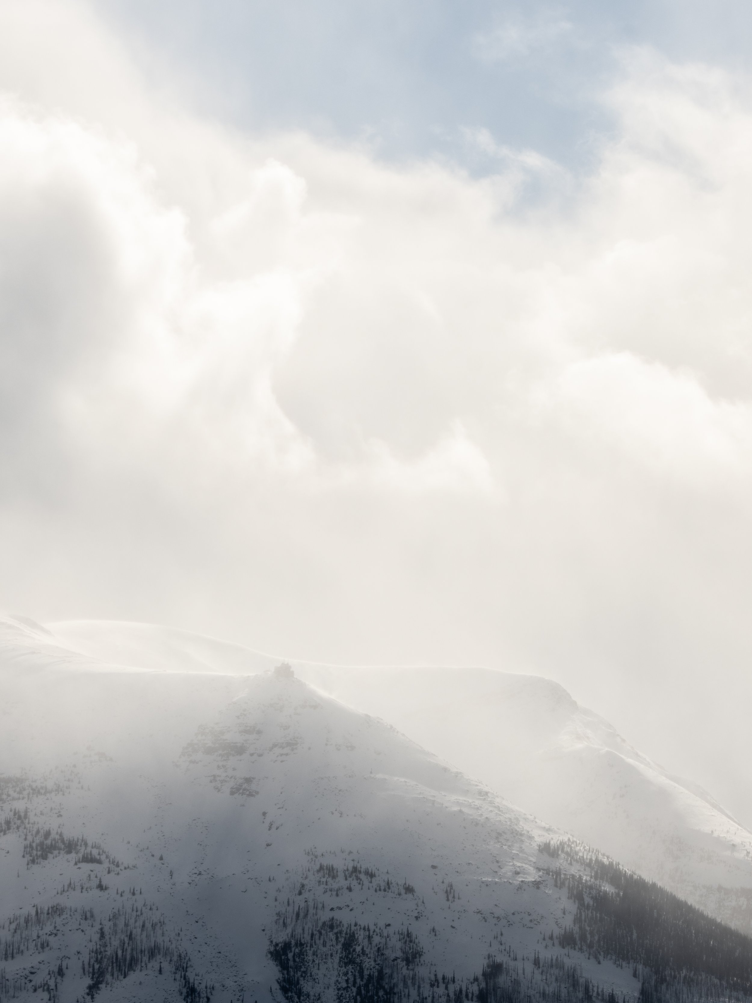 2025-03-28 - Jasper-9.jpg