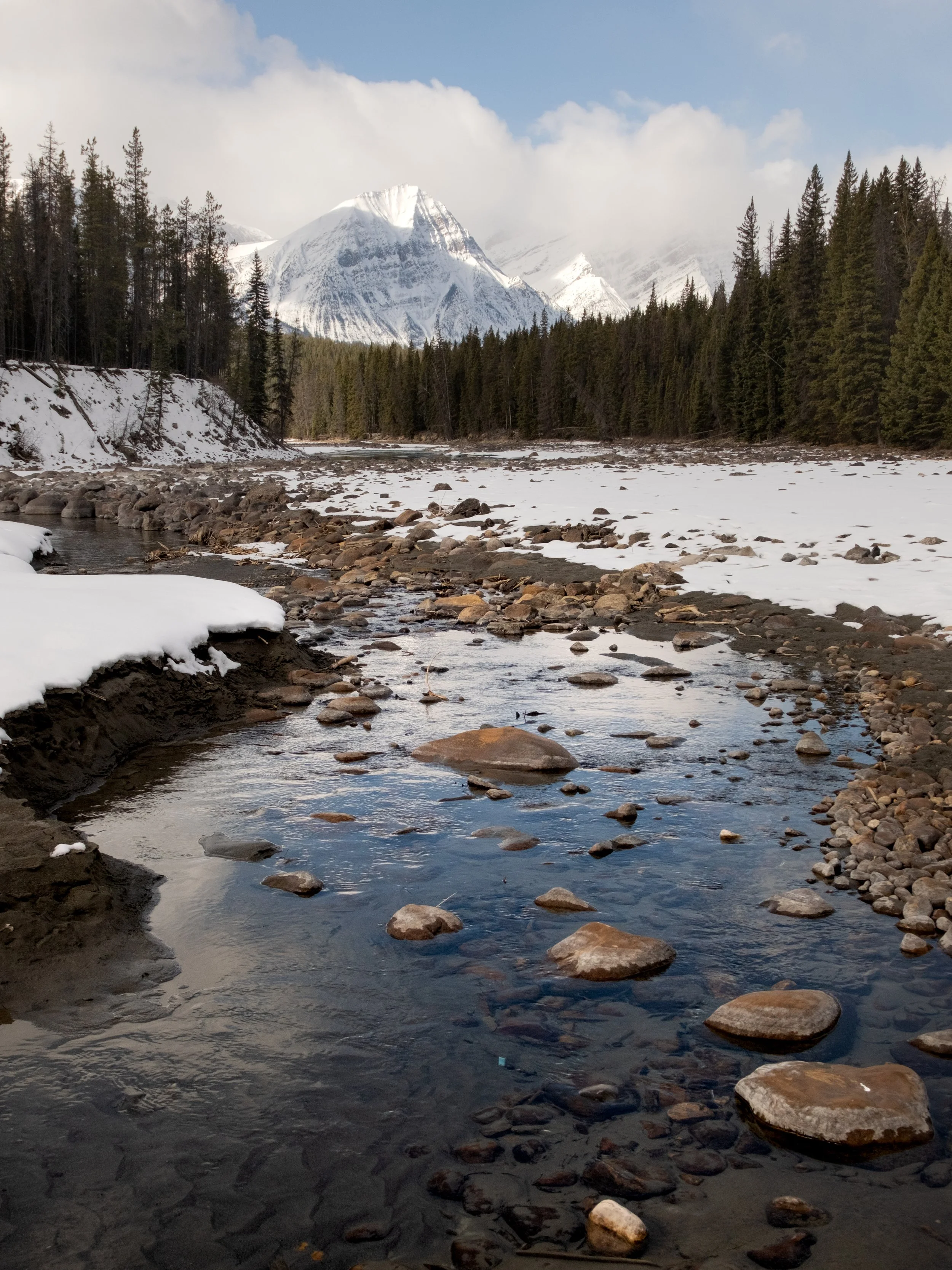 2025-04-02 - Jasper.jpg