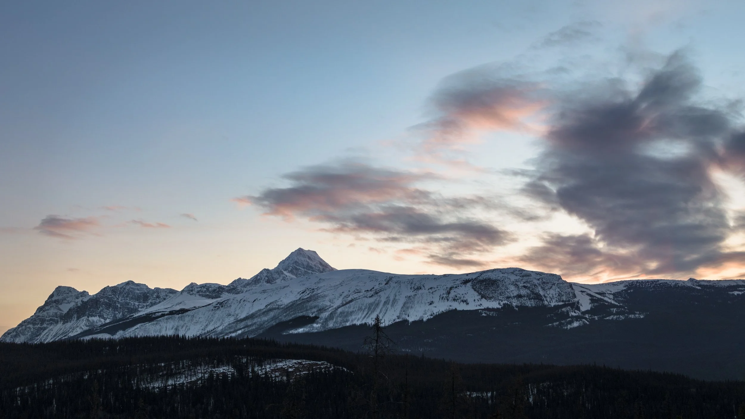 2020-03-18 - Edith Caval.jpg