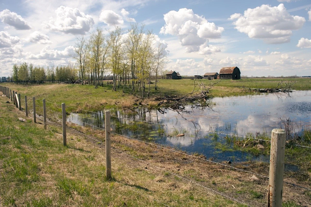 A rural landscape with a pond, scattered trees, wooden barns, and partly cloudy sky.