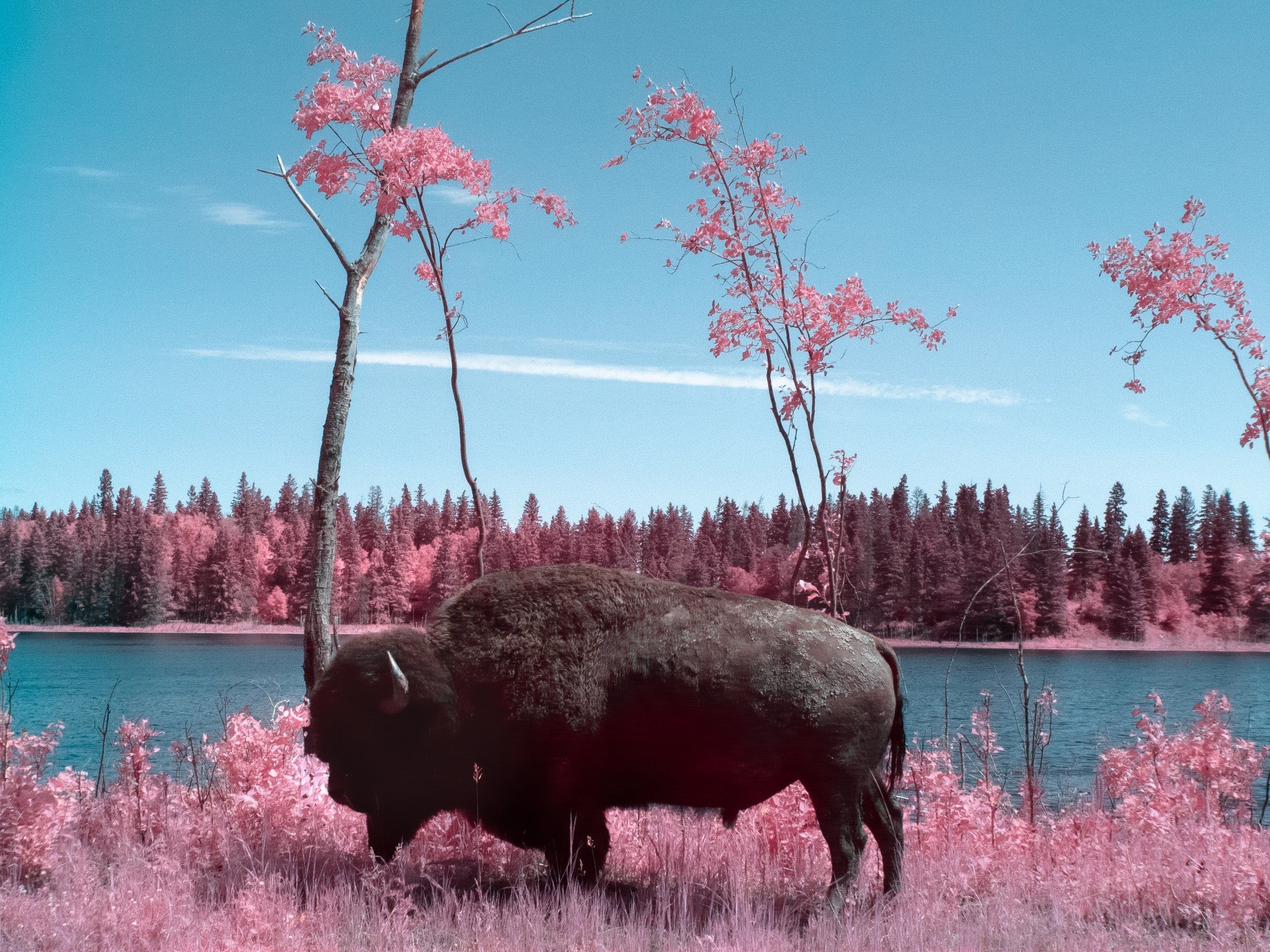 2026-06-25 - IR-2.jpg